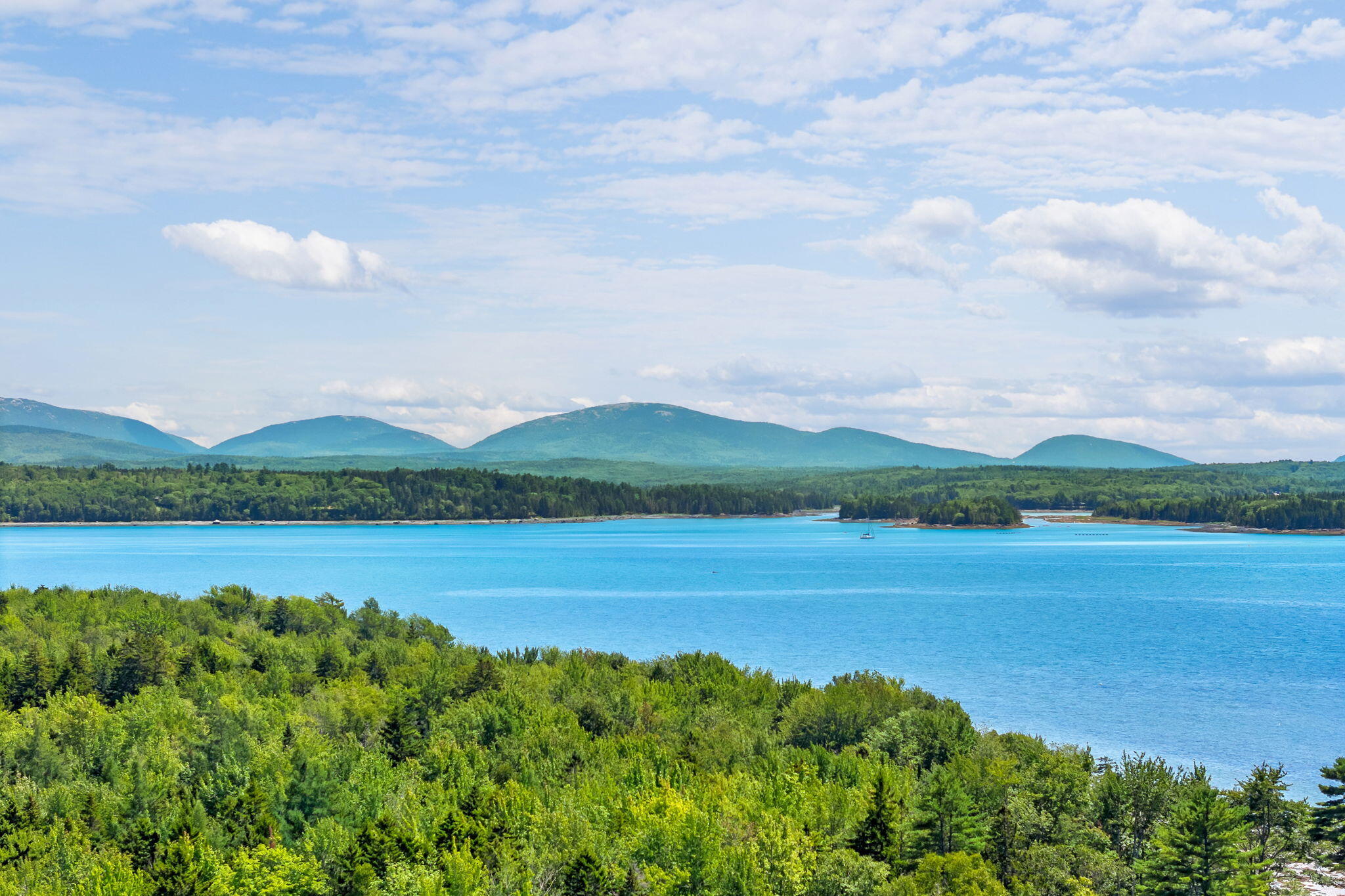 60 Moose Run