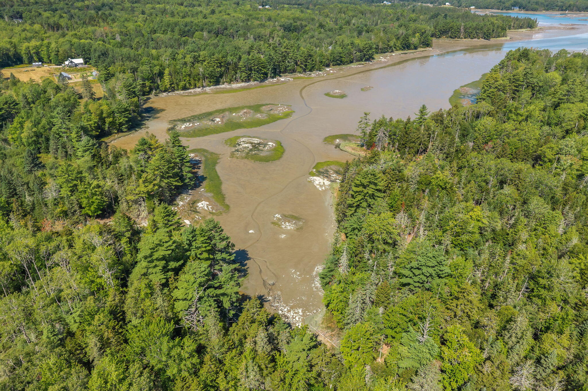 368 Partridge Cove Road