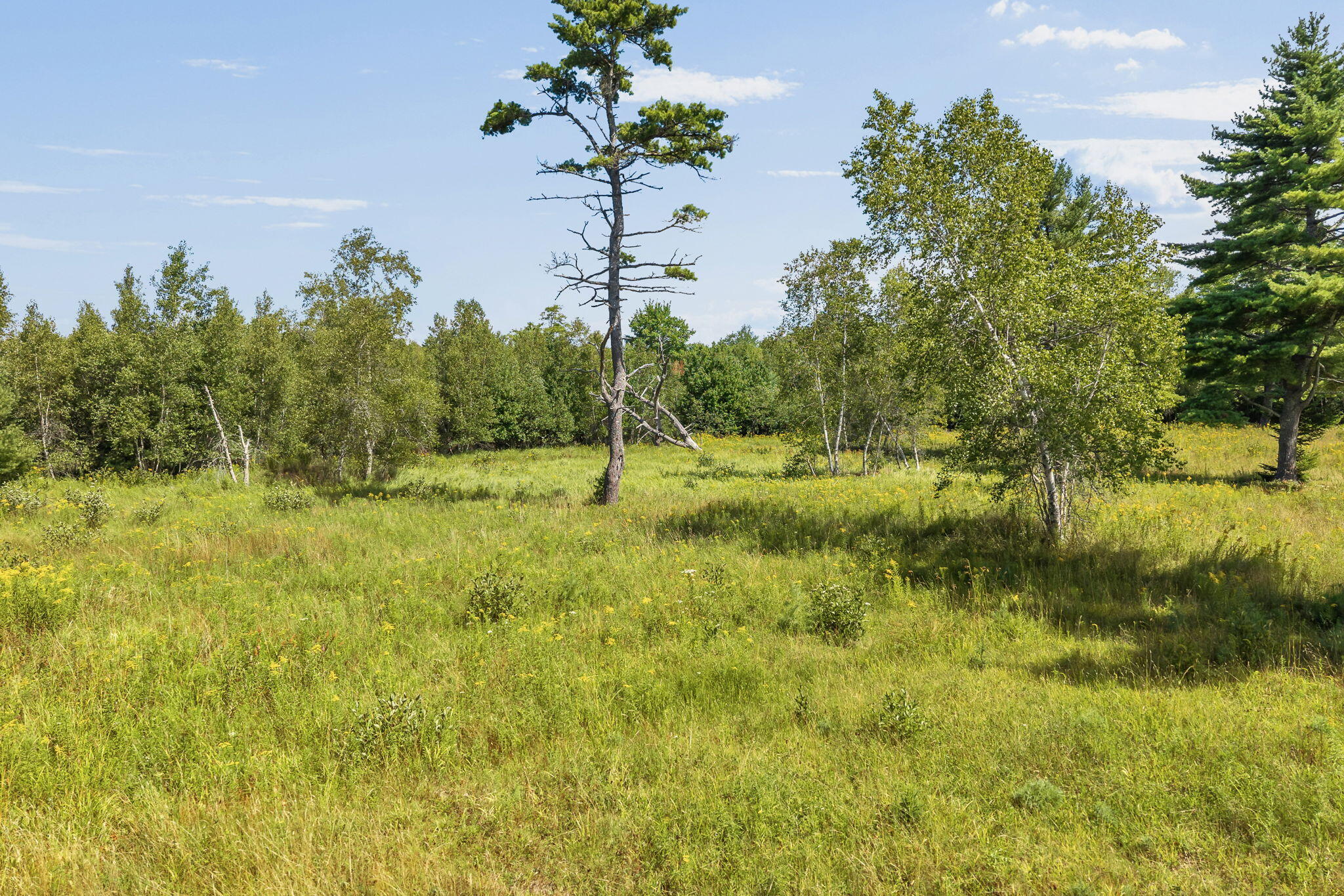 368 Partridge Cove Road