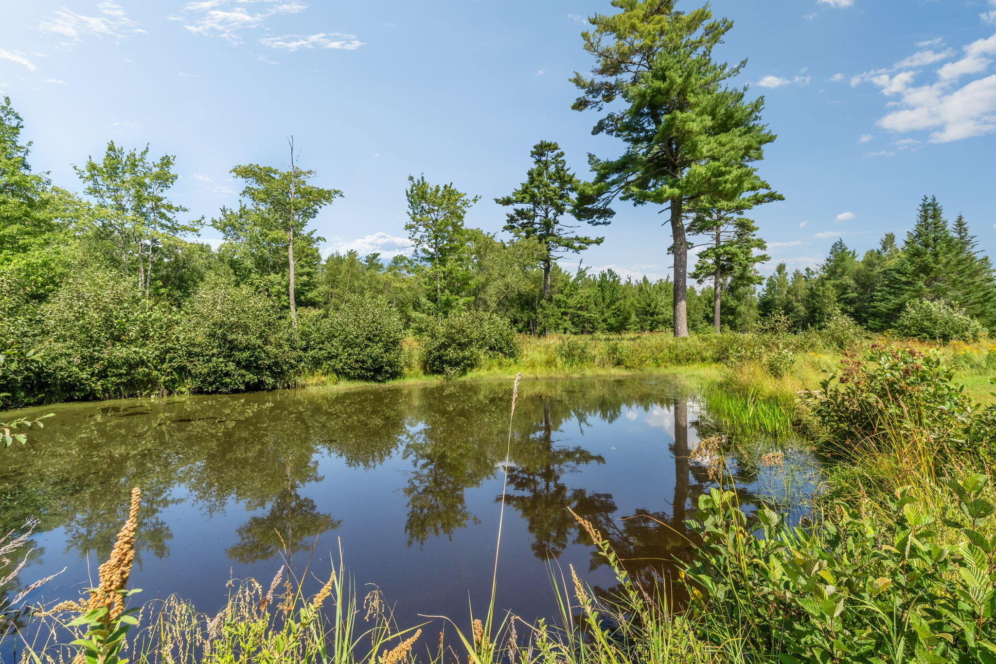 368 Partridge Cove Road