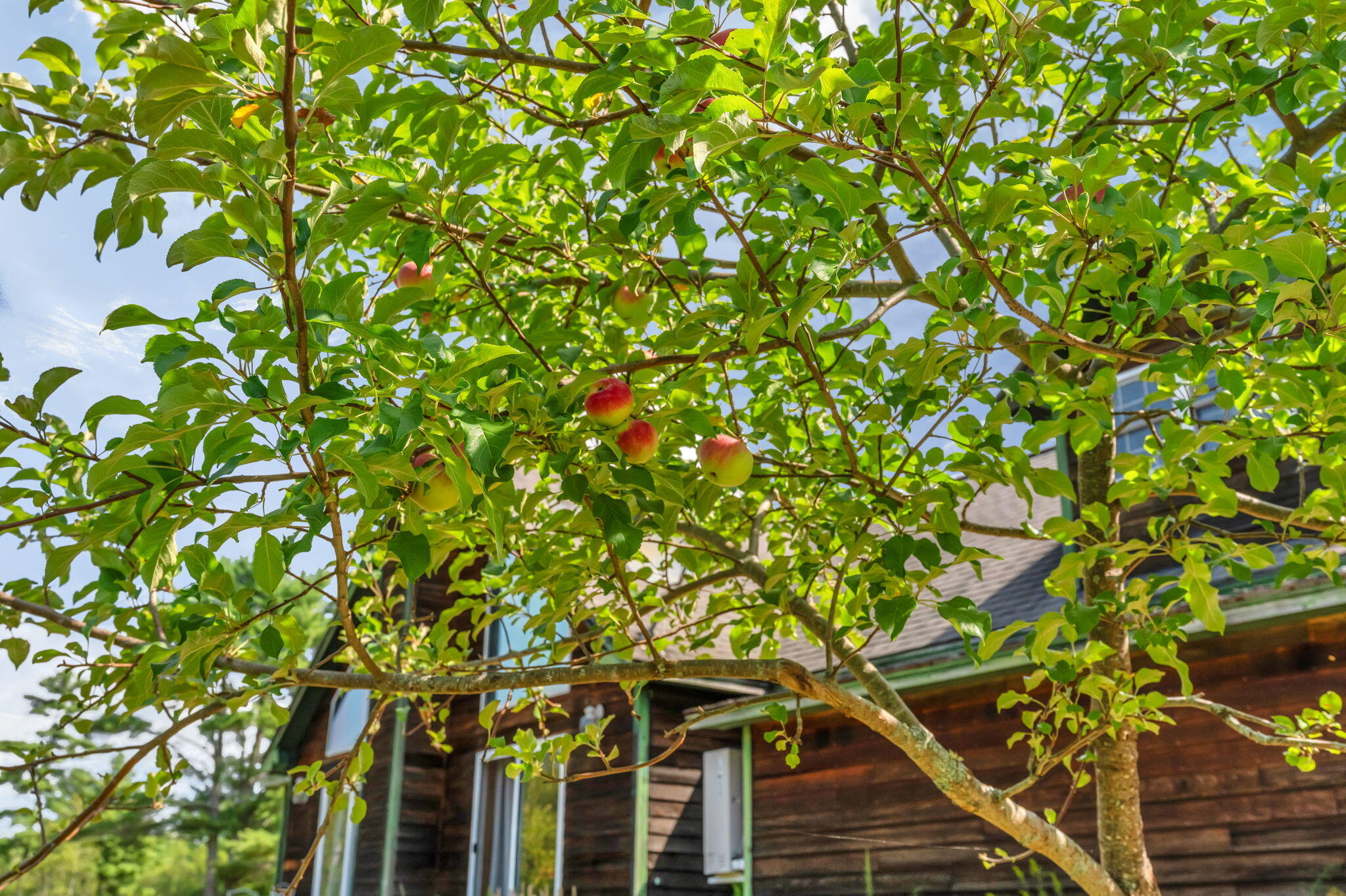 368 Partridge Cove Road