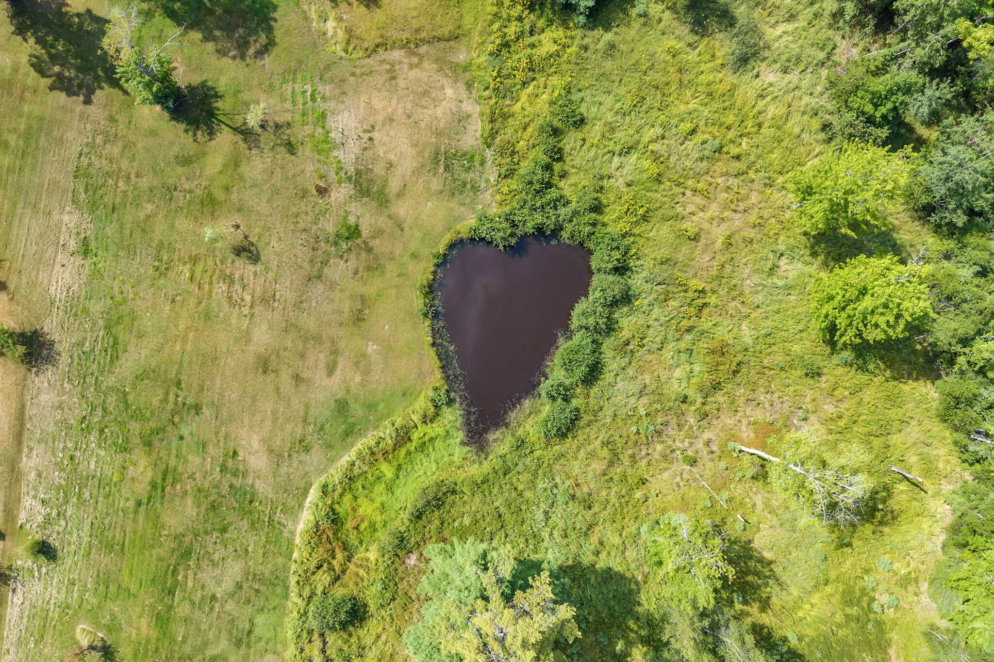 368 Partridge Cove Road