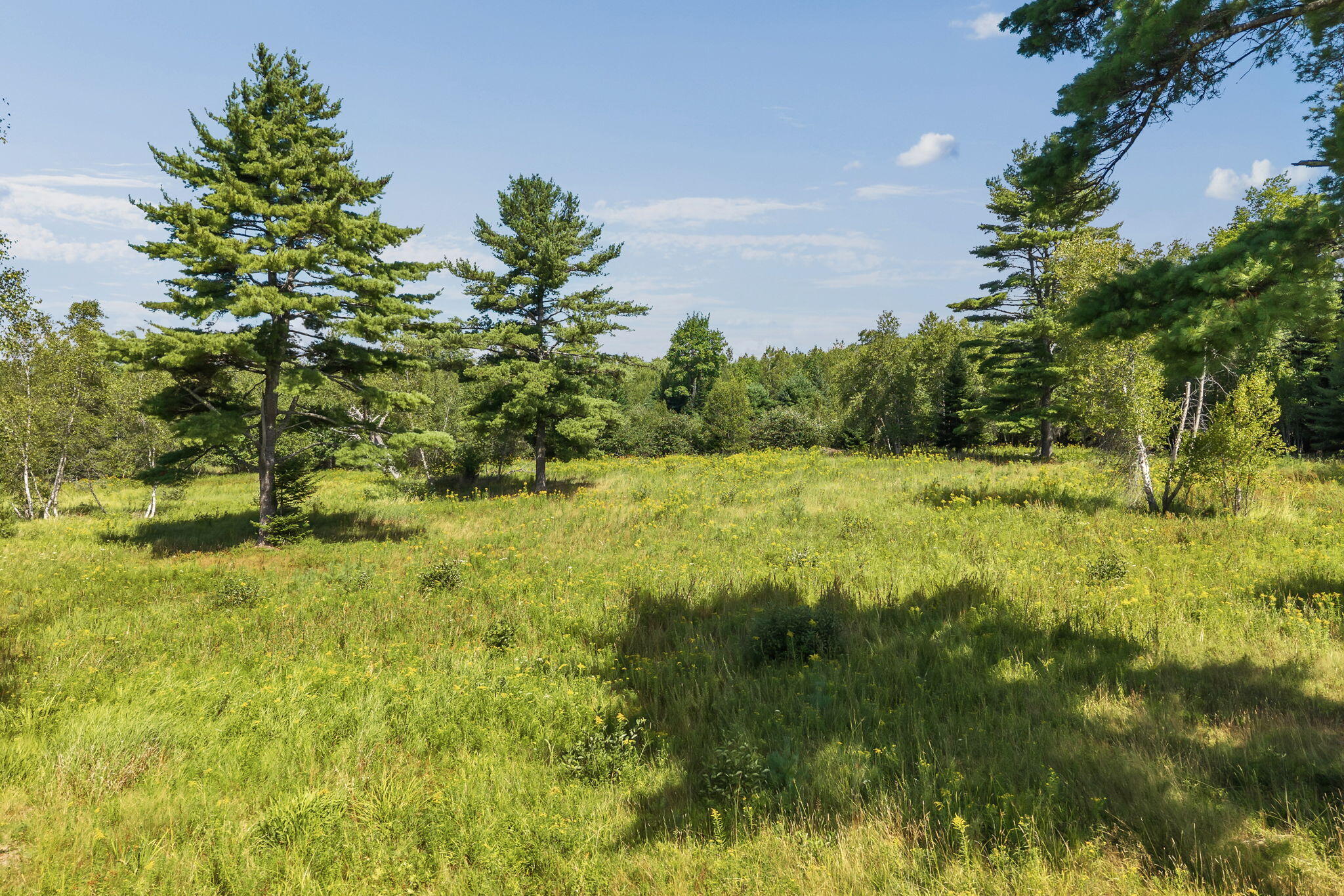 368 Partridge Cove Road