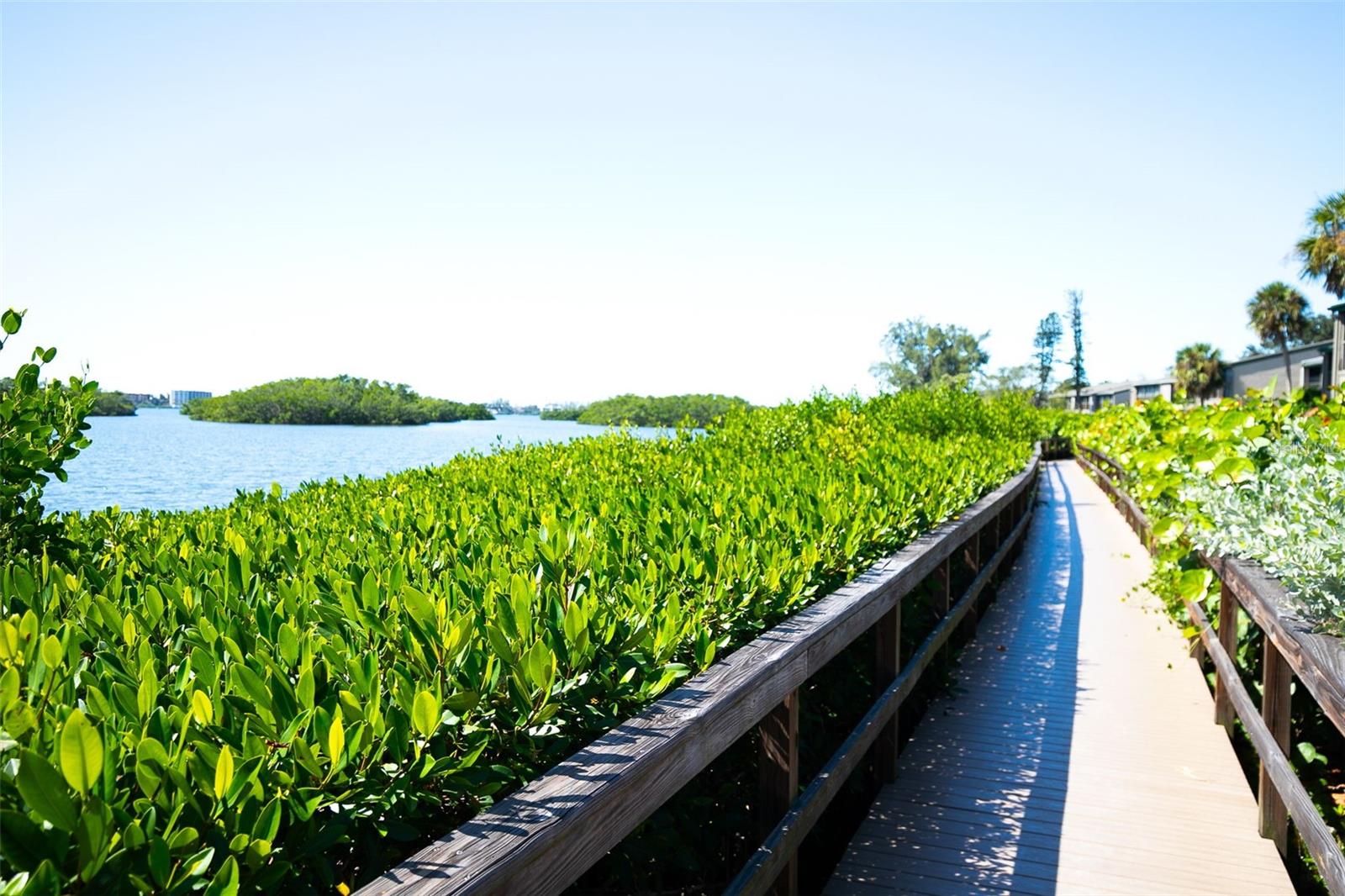 1508 PELICAN COVE RD #230