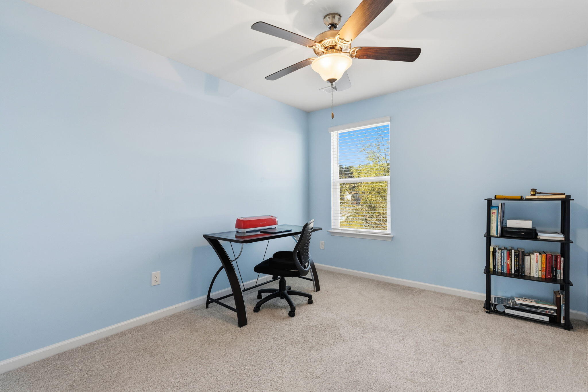 439 Buckhannon Lane
