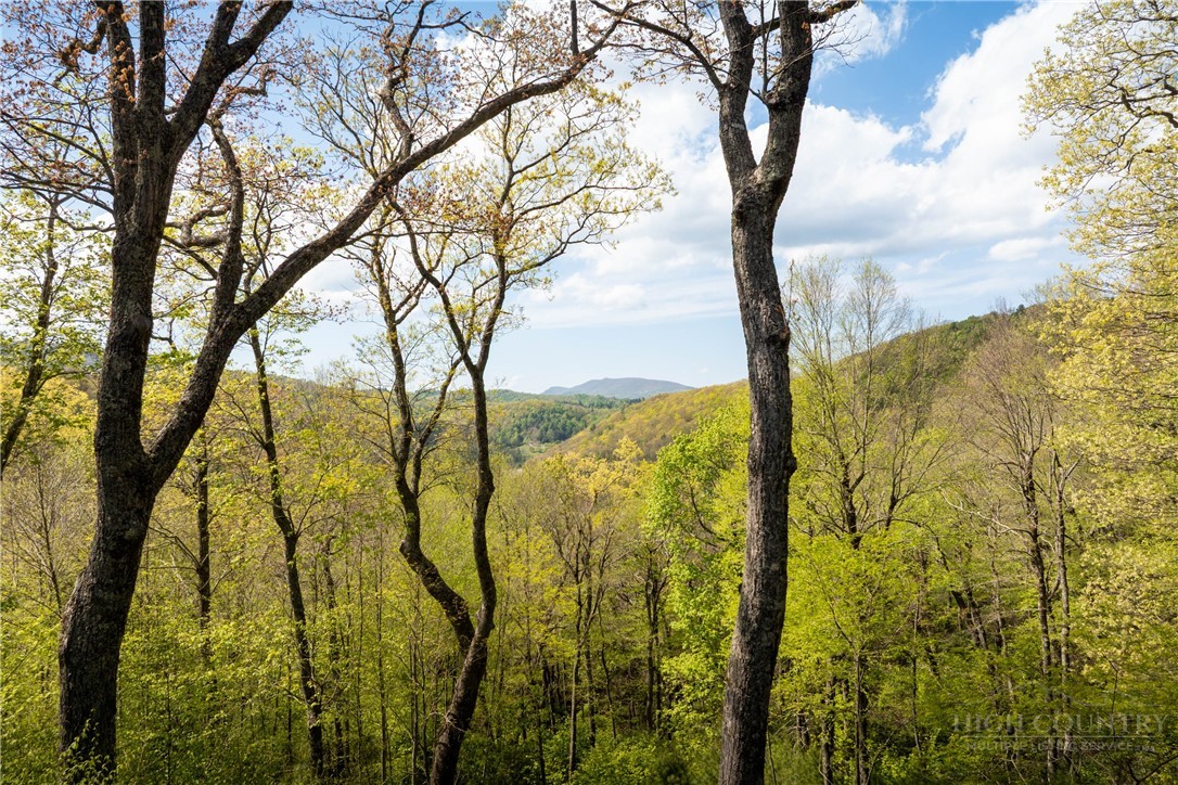 497 Black Locust Circle