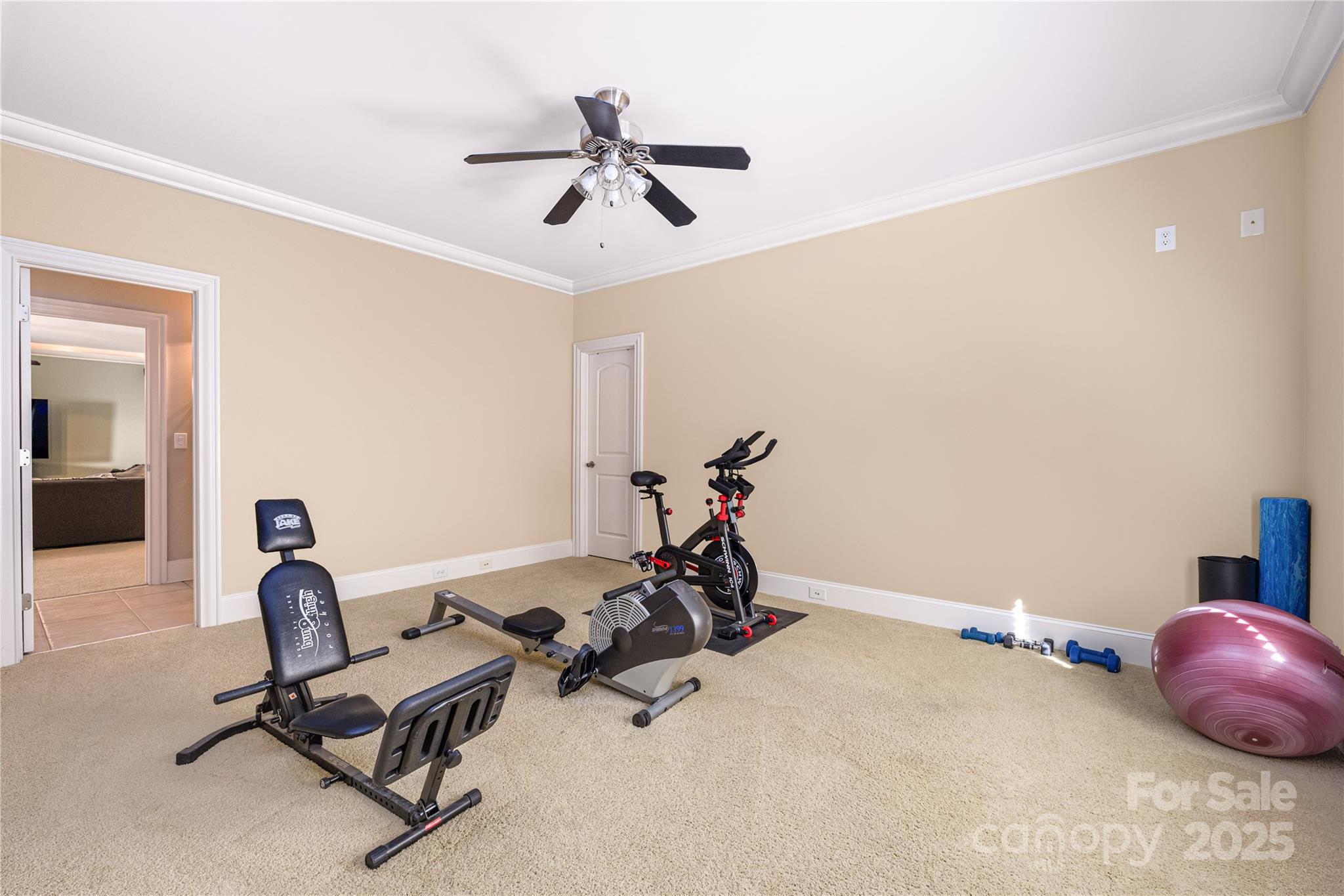 3946 Lake Spring Cove Court