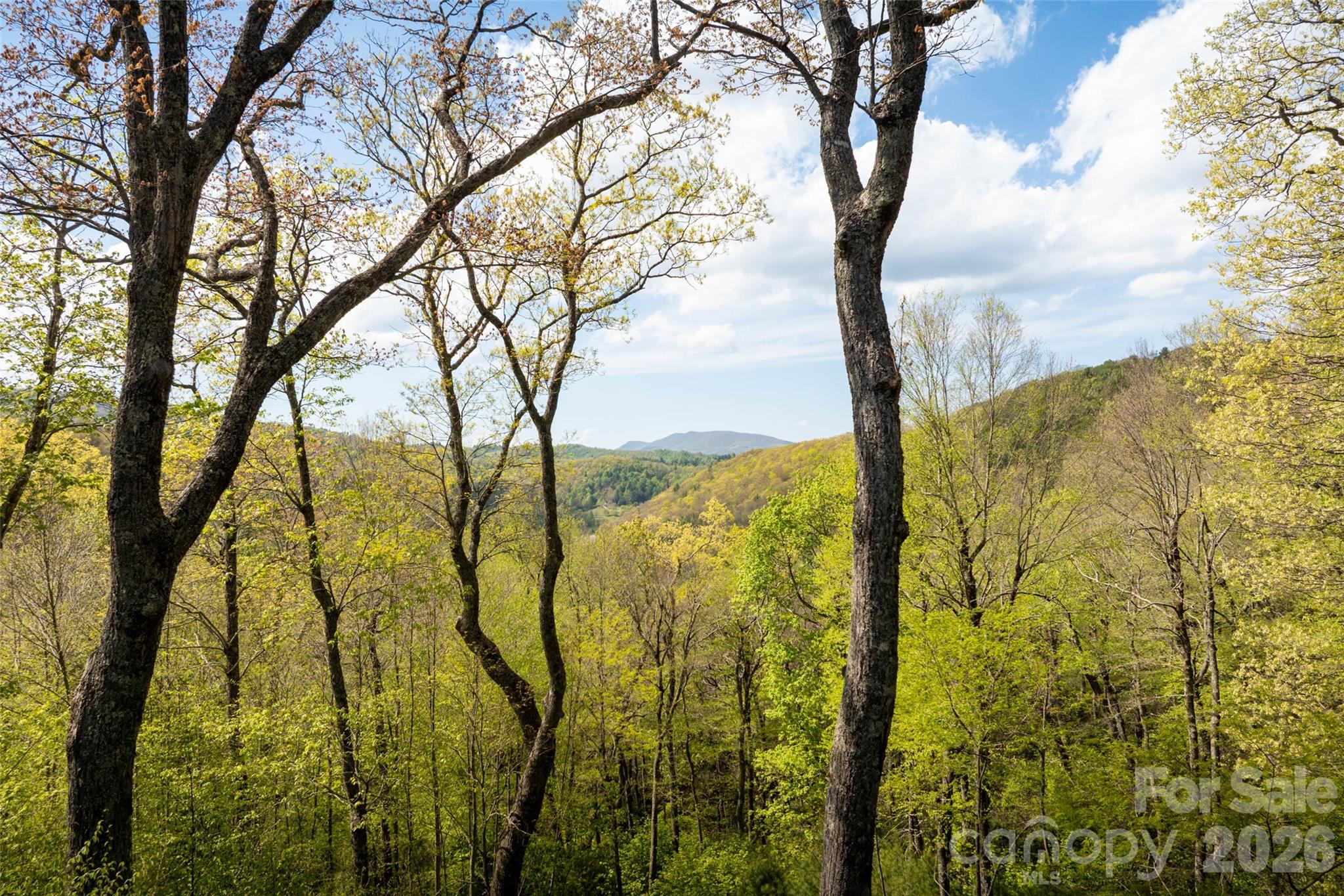 497 Black Locust Circle