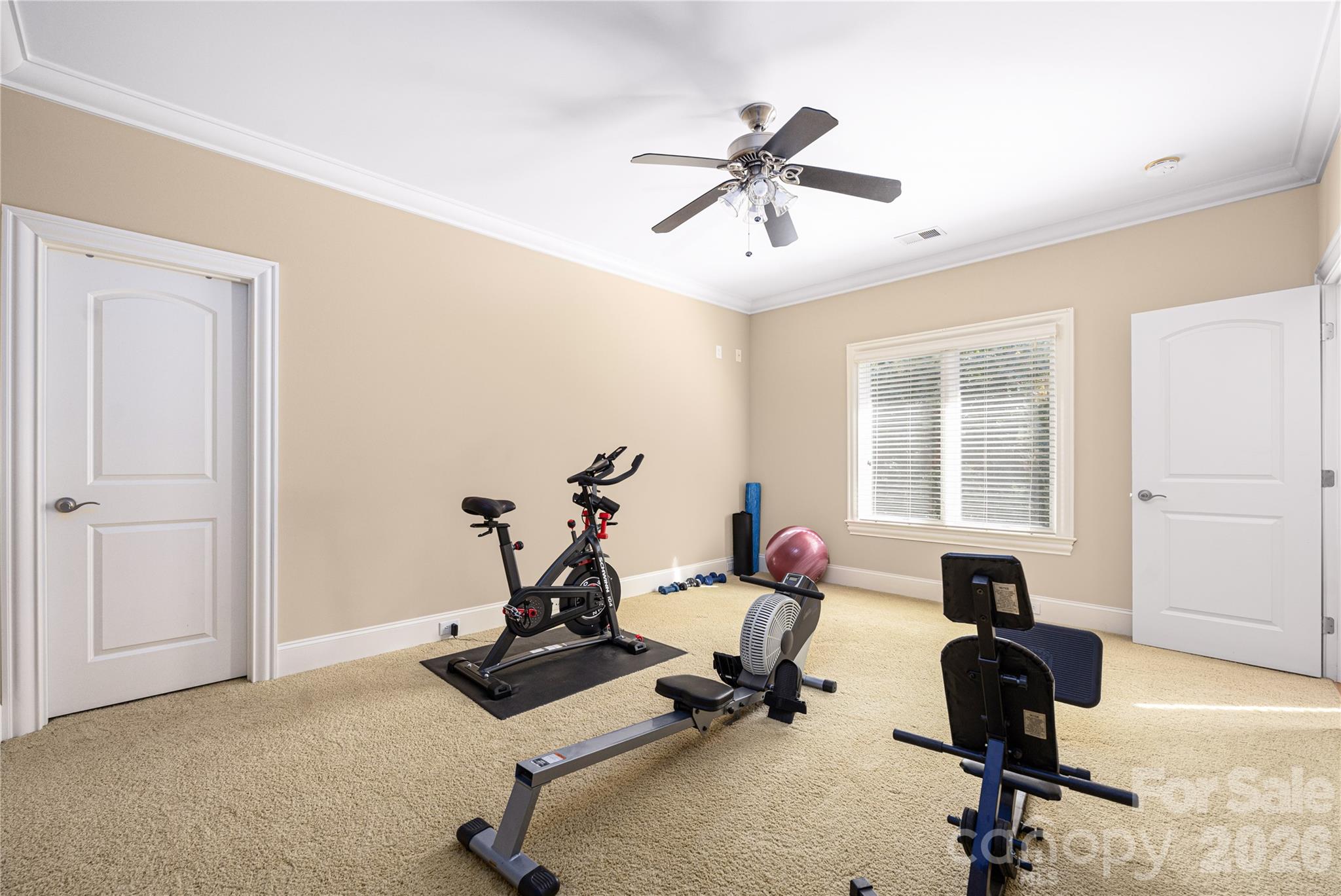 3946 Lake Spring Cove Court