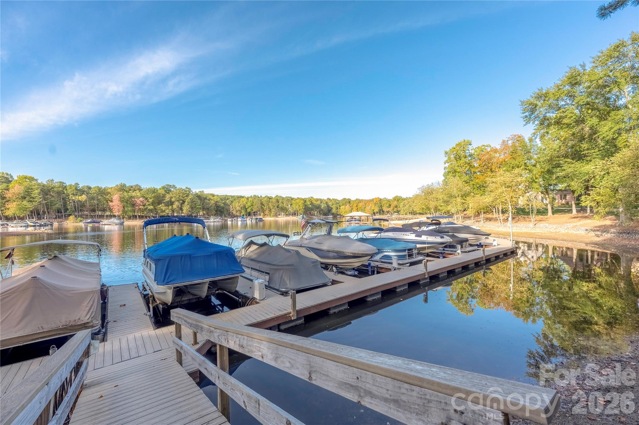3946 Lake Spring Cove Court