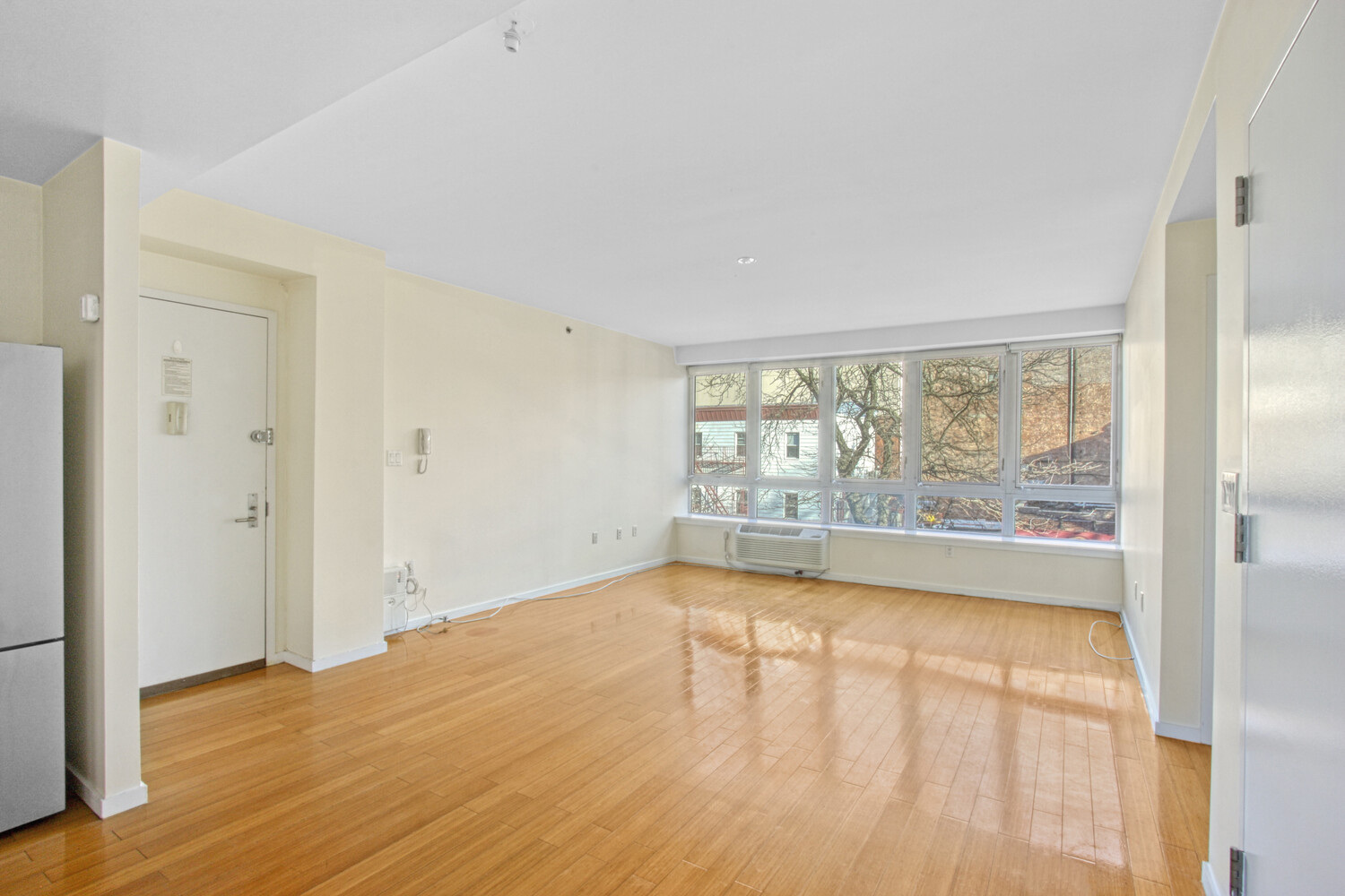 515 5TH Avenue 3C