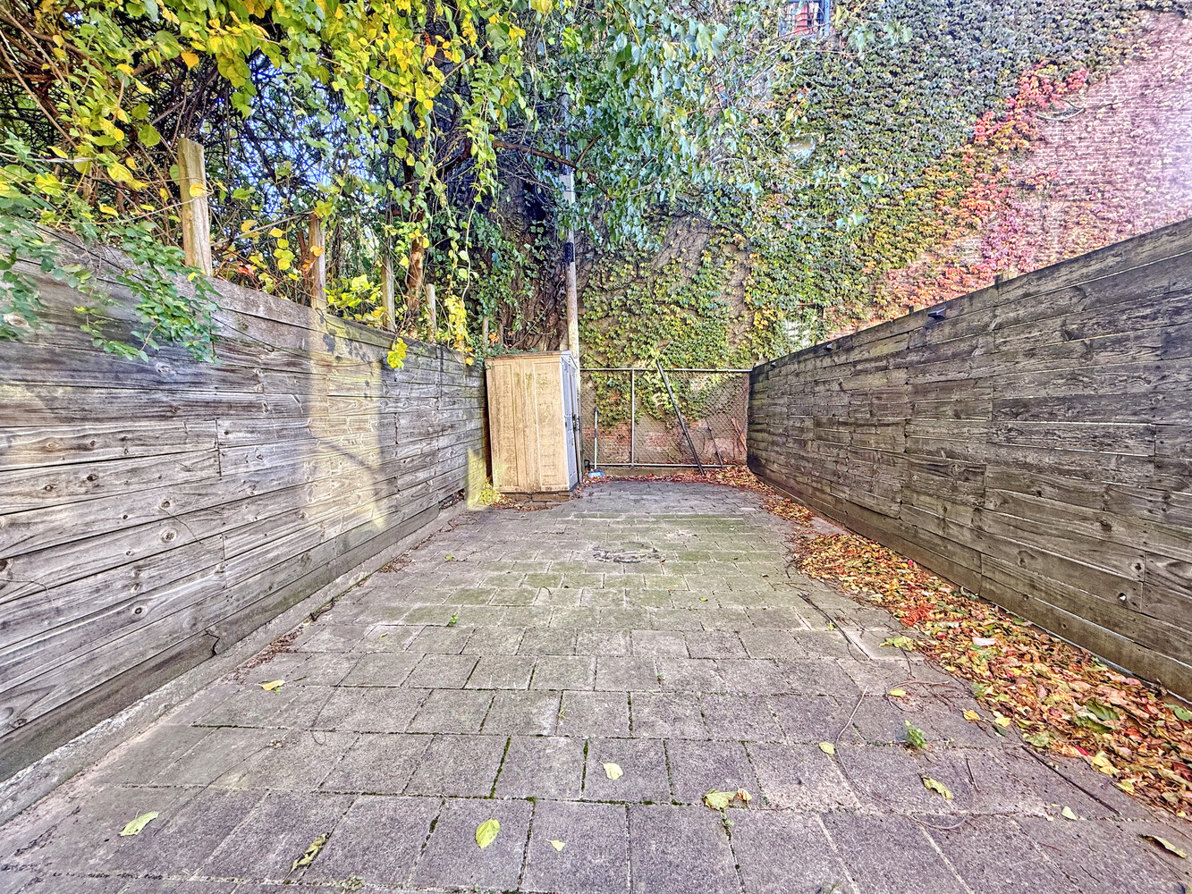 1126 HERKIMER Street 1