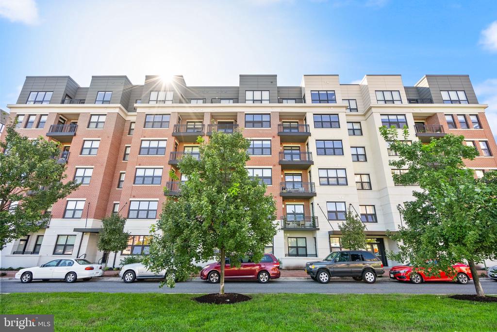701 Swann Ave #302