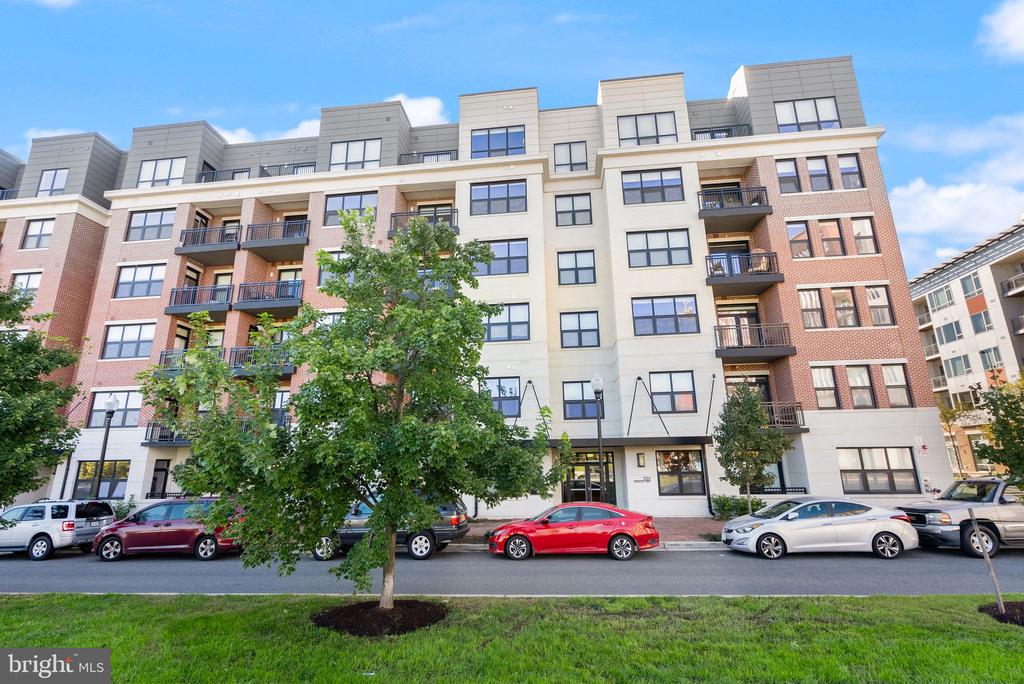701 Swann Ave #302
