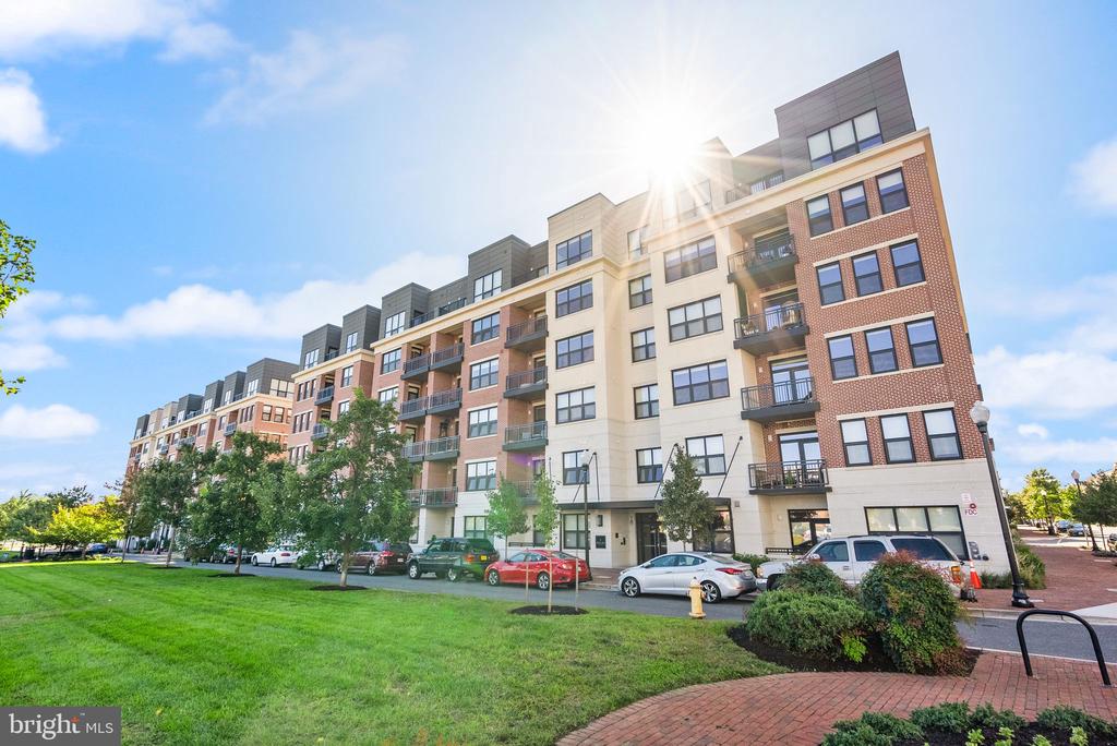 701 Swann Ave #302