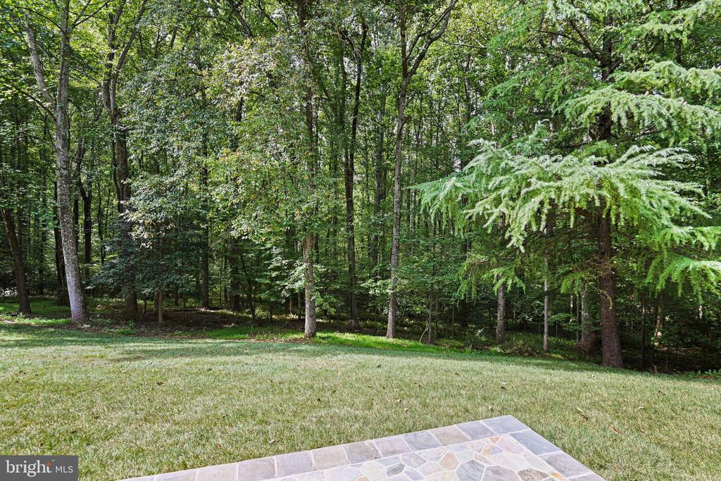 11440 Vale Spring Dr
