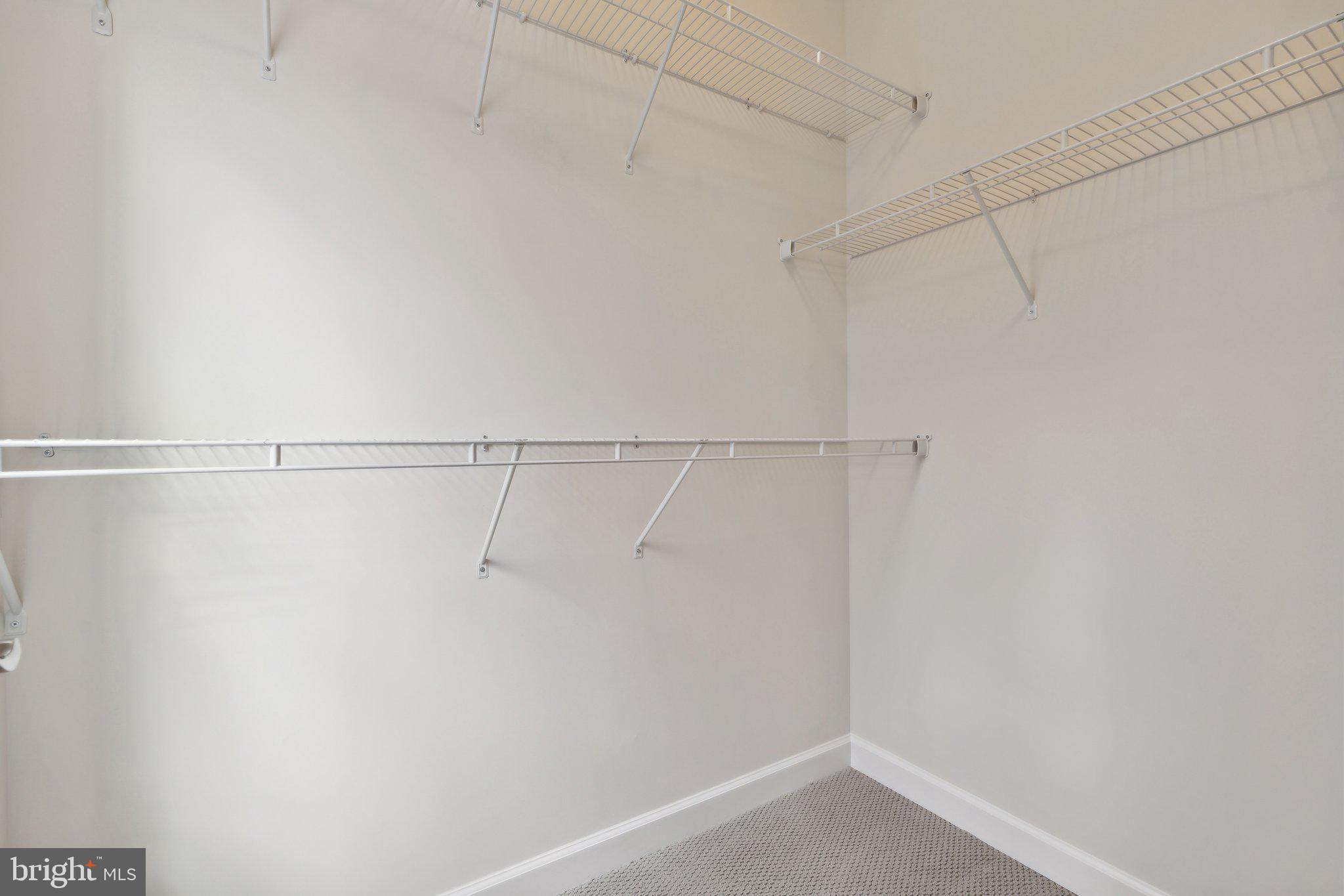 3164 VIRGINIA BLUEBELL COURT