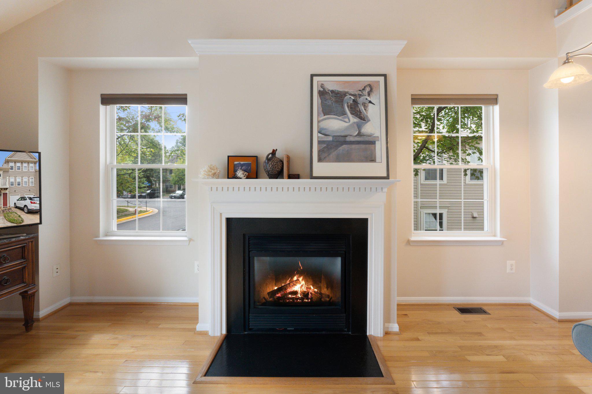 20375 Birchmere Ter #48a