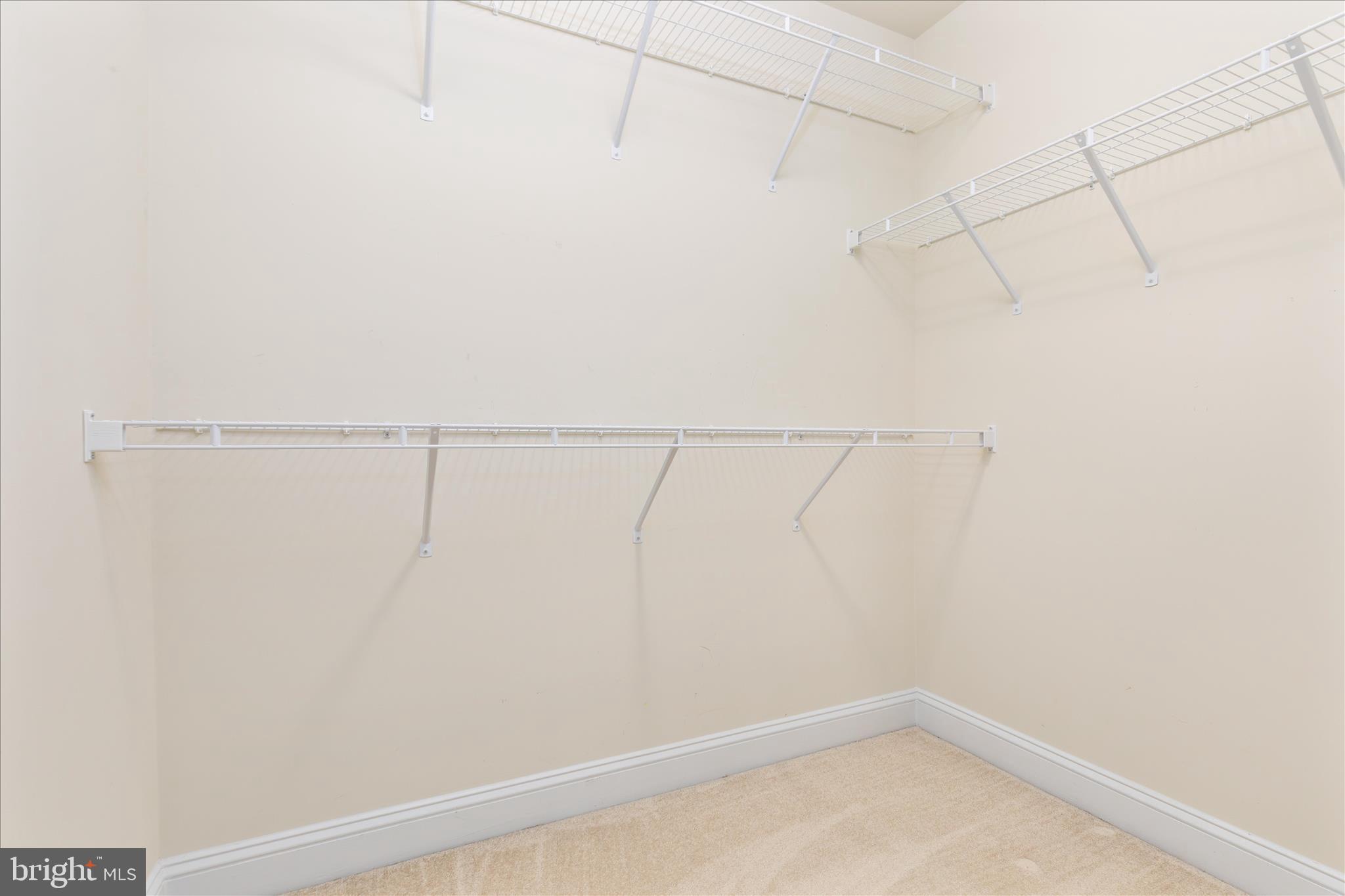 21064 GREAT WOODS DRIVE