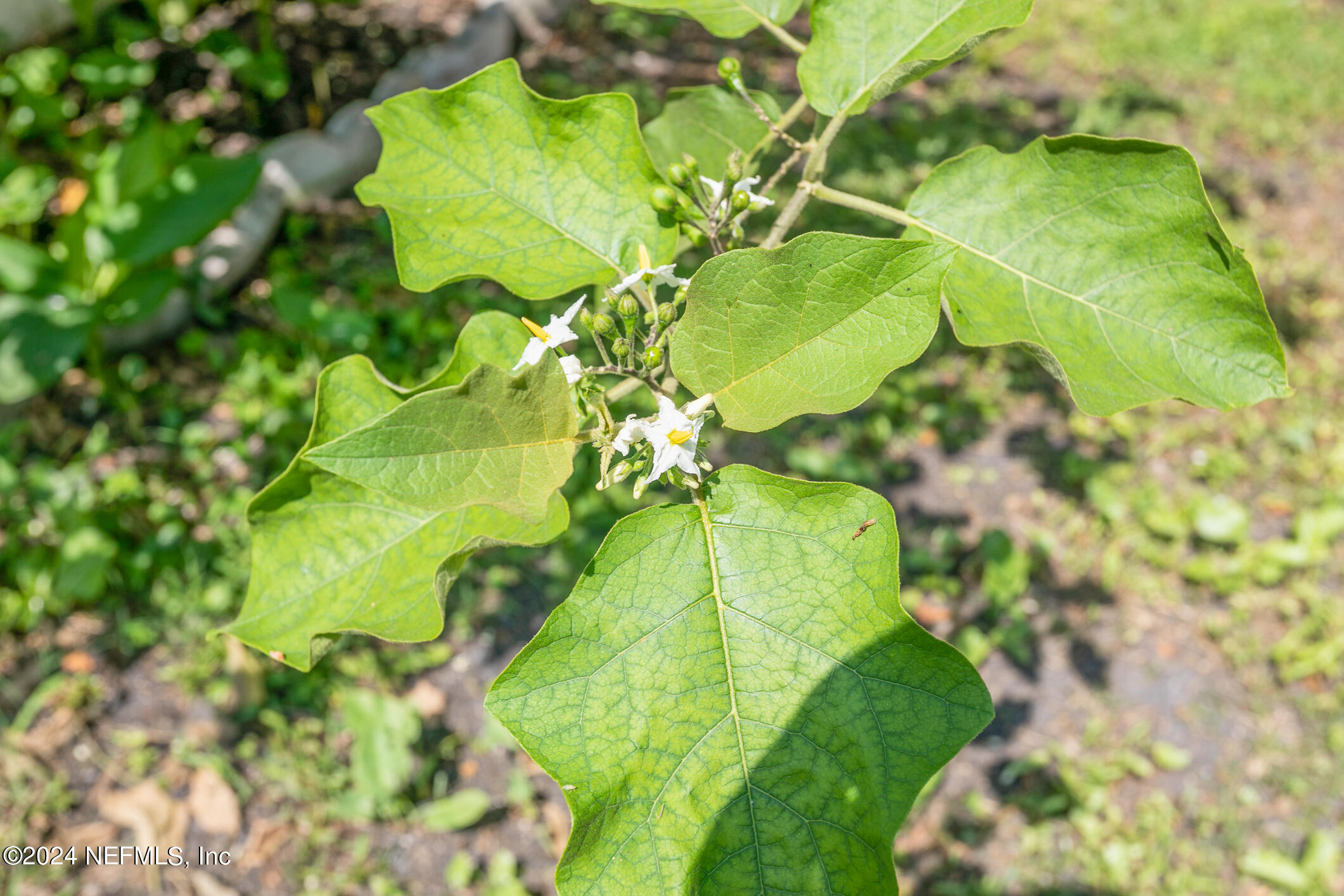 3044 NEWELL Boulevard