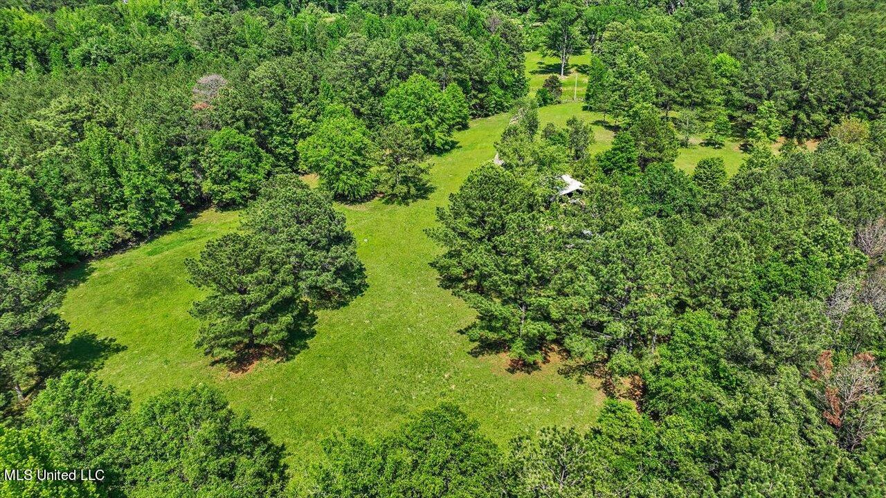 183 Gunter Lane
