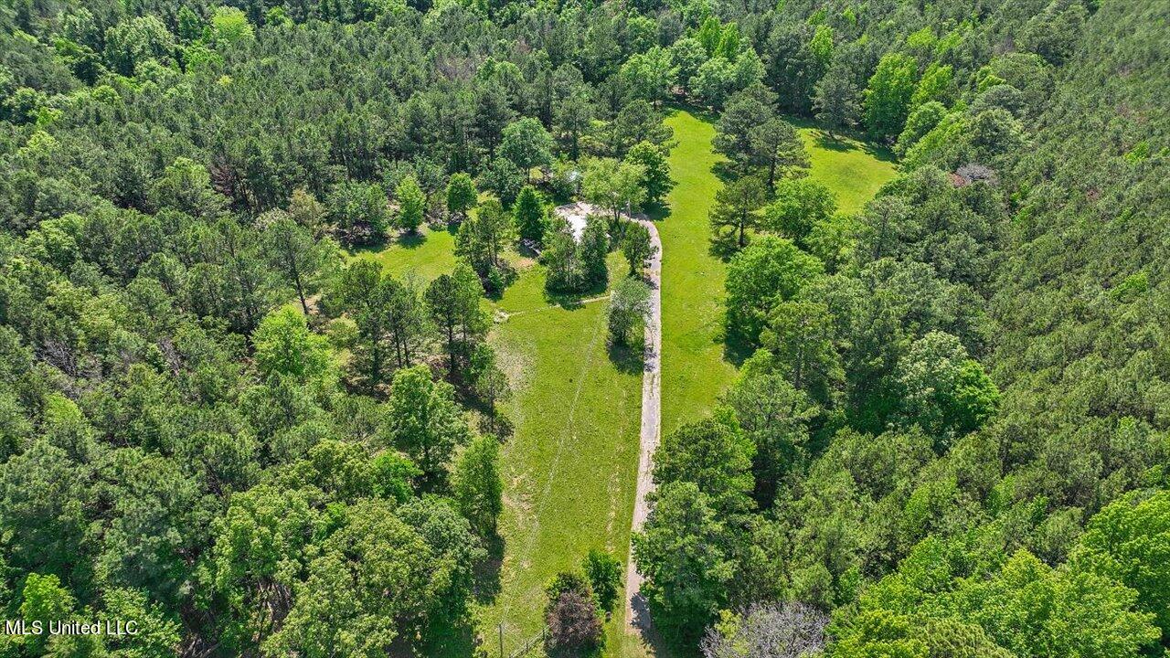 183 Gunter Lane