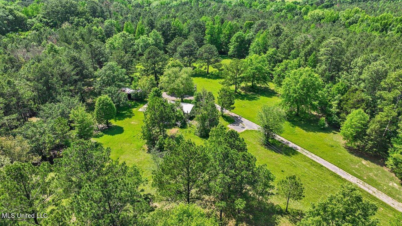 183 Gunter Lane