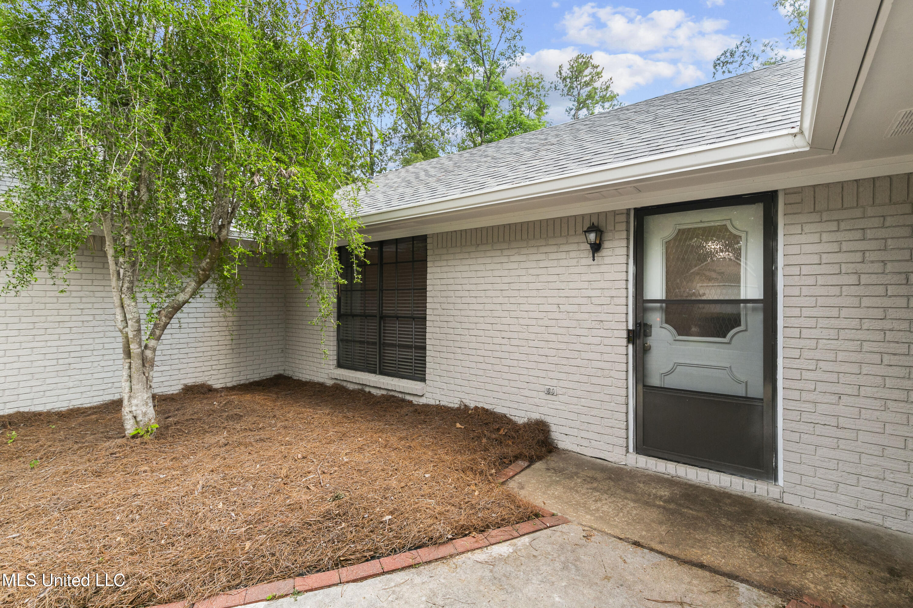 305 Camelia Trail
