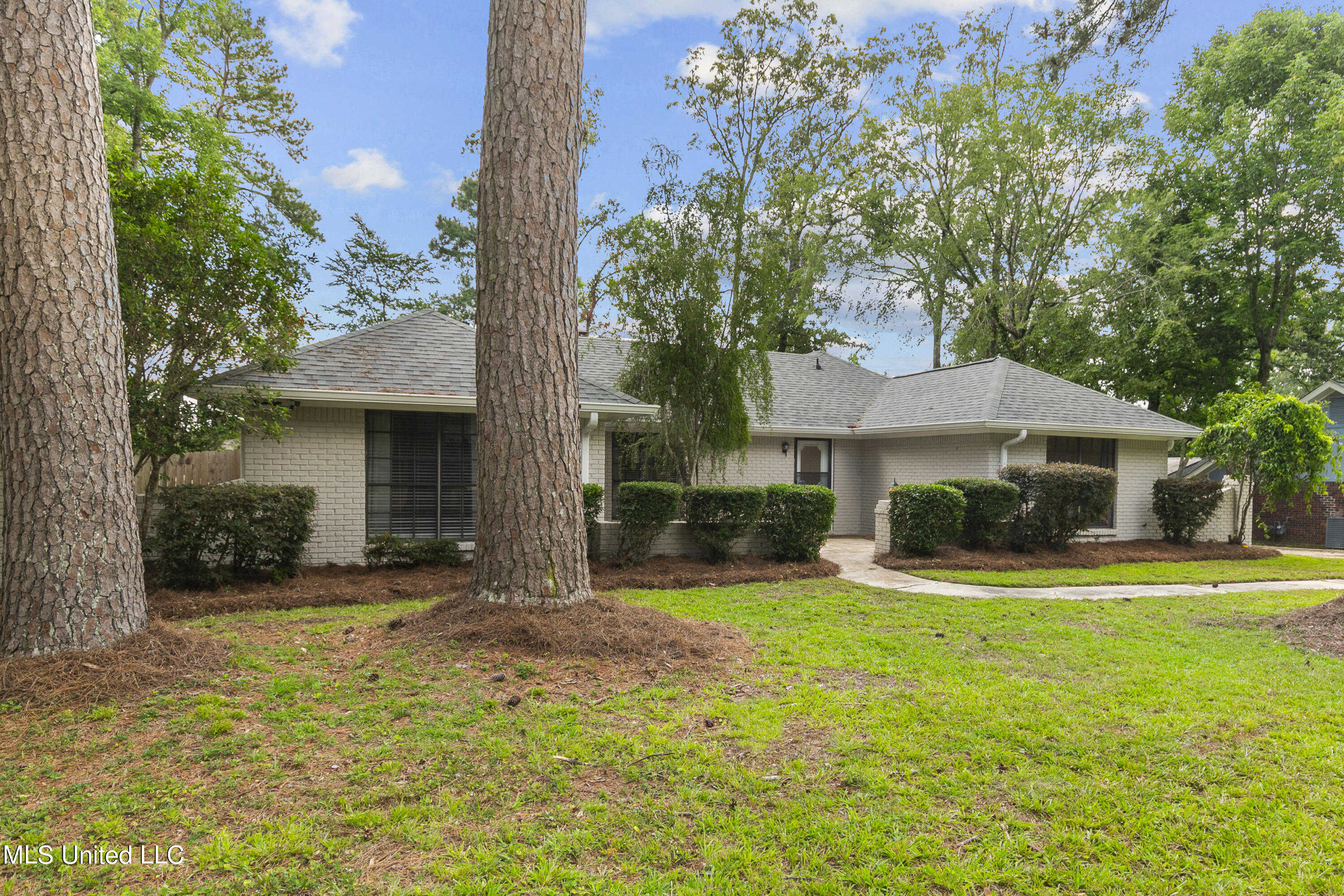 305 Camelia Trail