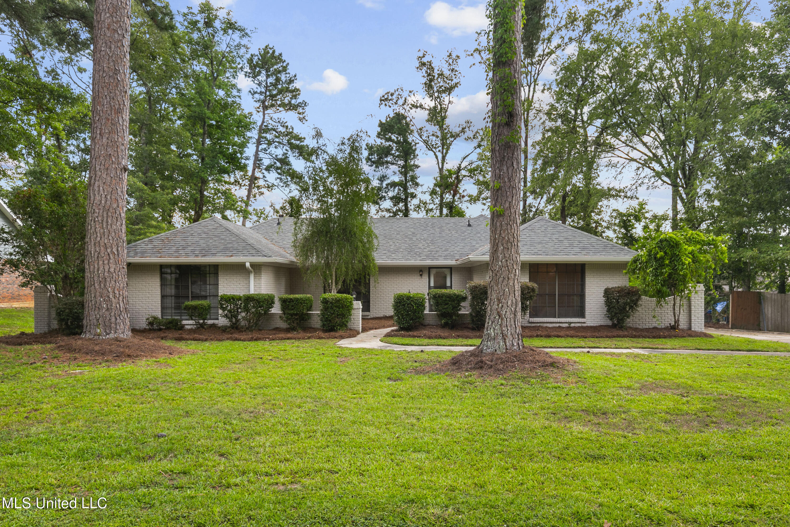 305 Camelia Trail