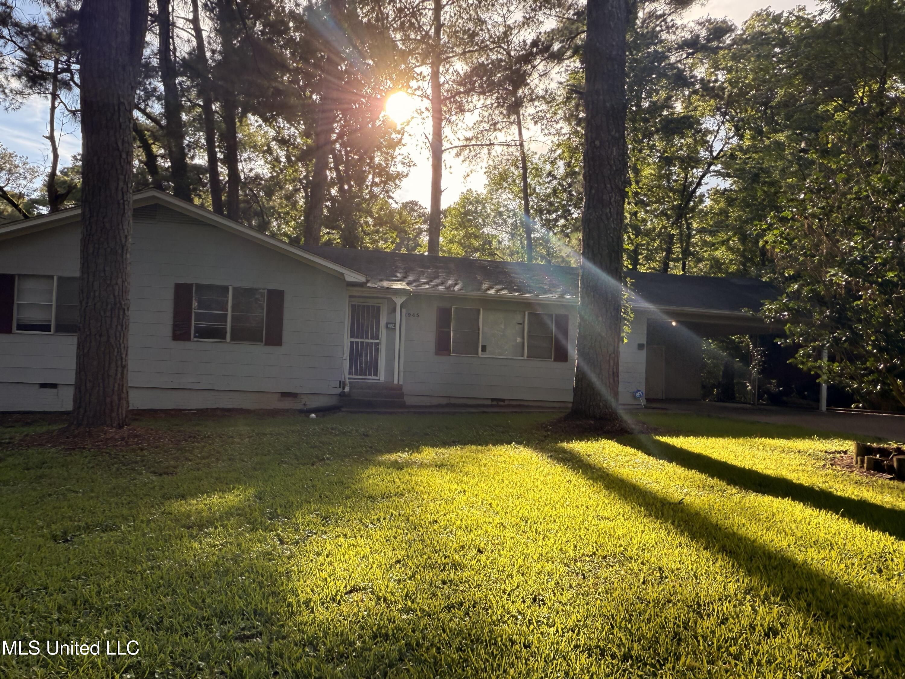 1945 Camellia Lane