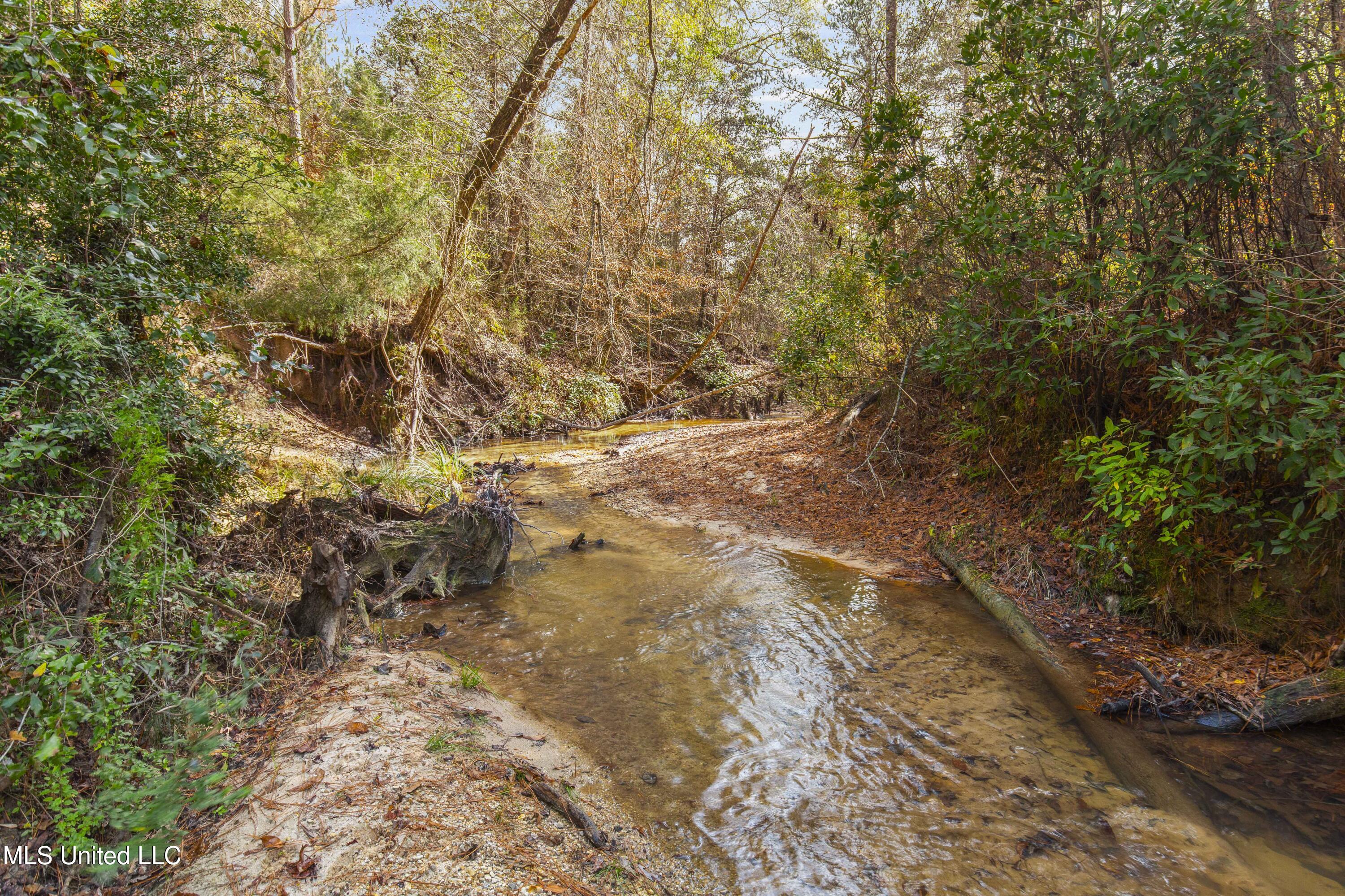 Katie Bush Road
