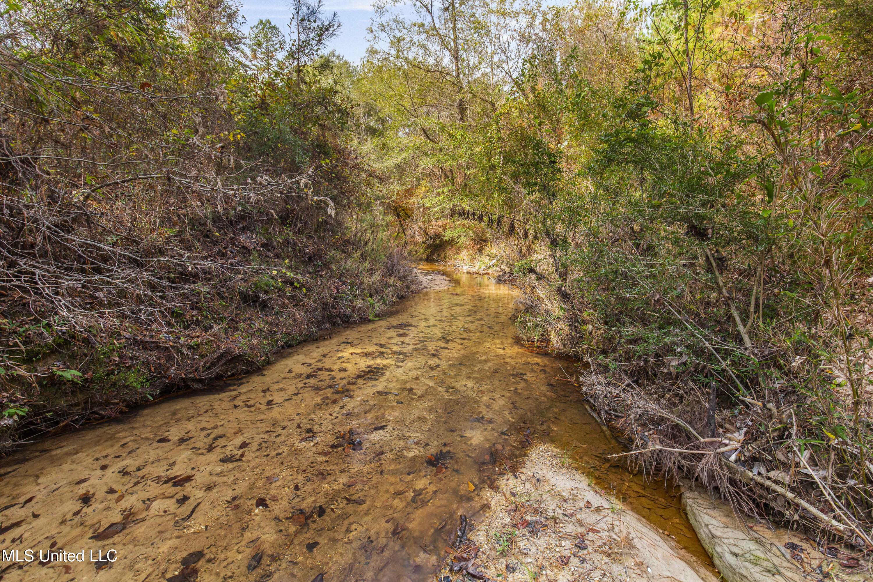Katie Bush Road