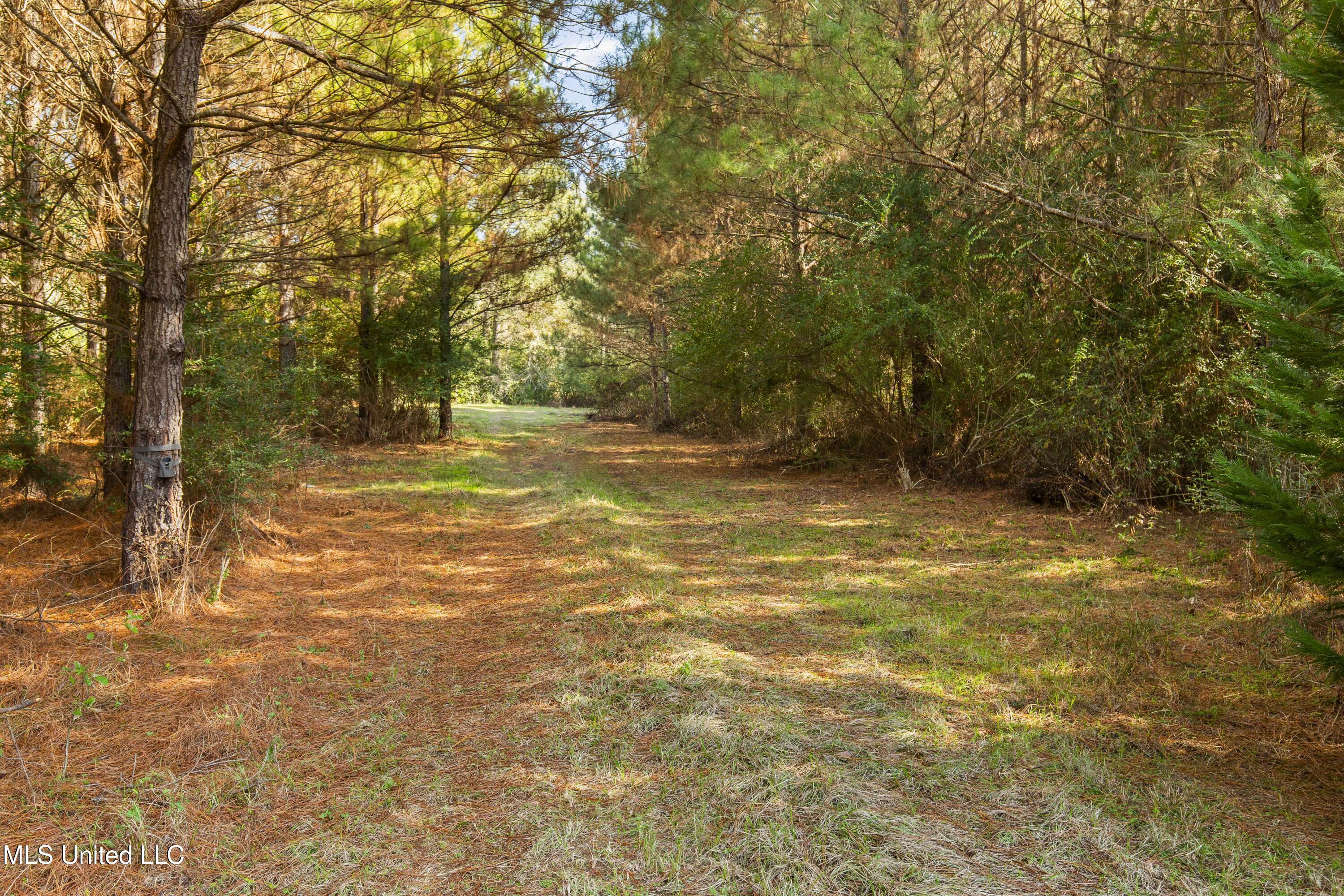 Katie Bush Road