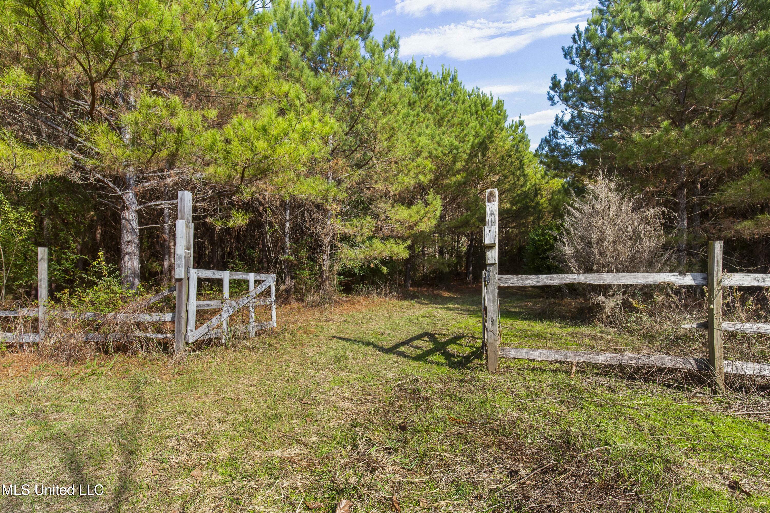 Katie Bush Road