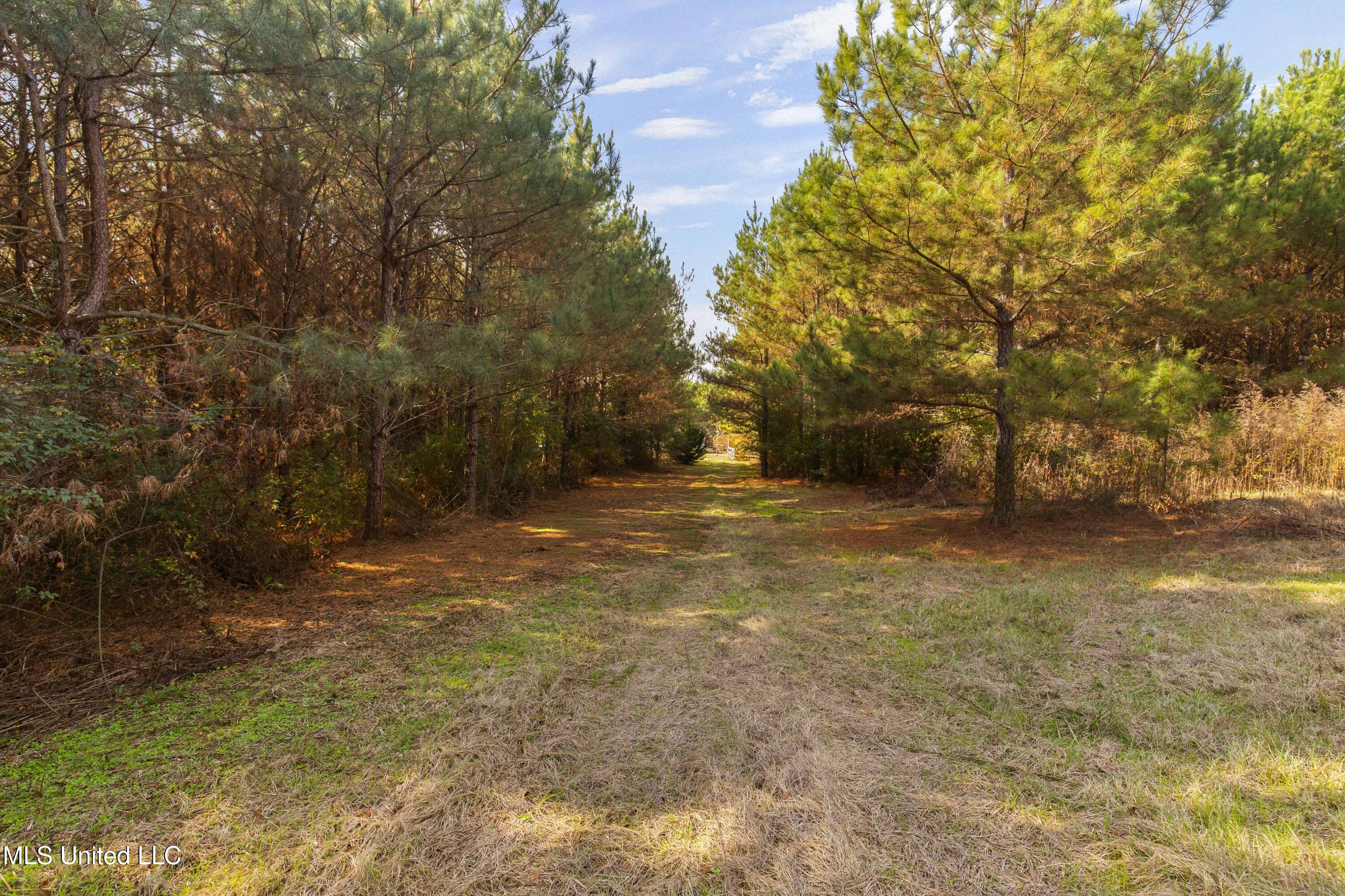 Katie Bush Road