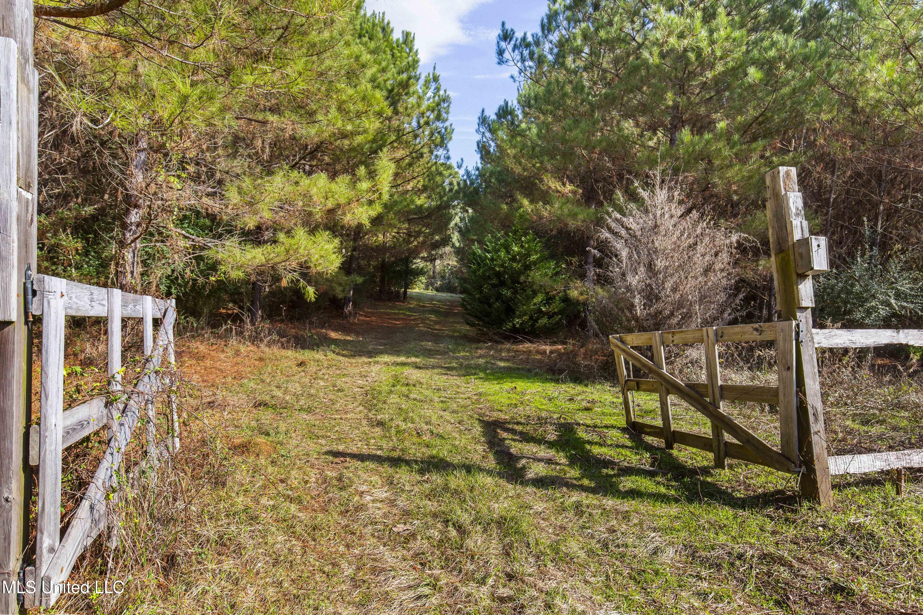 Katie Bush Road