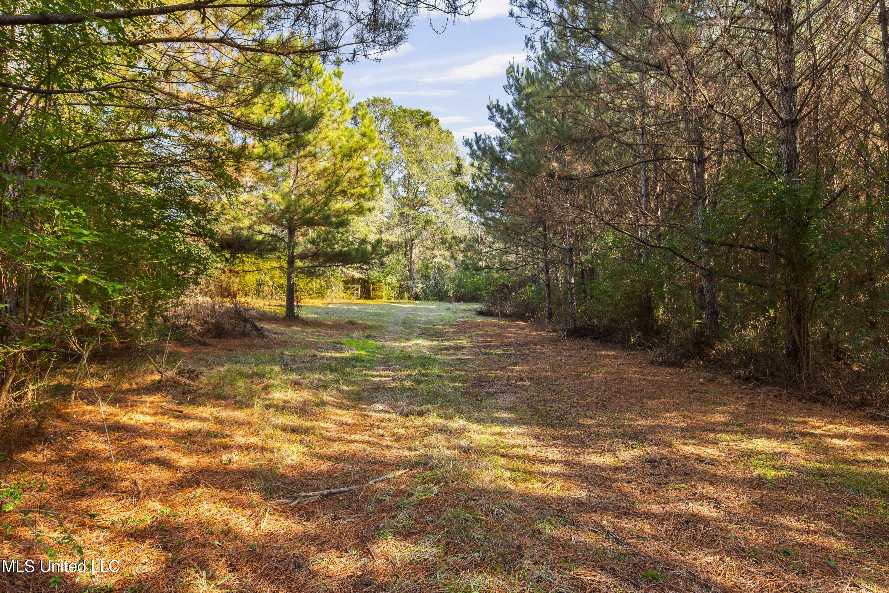 Katie Bush Road