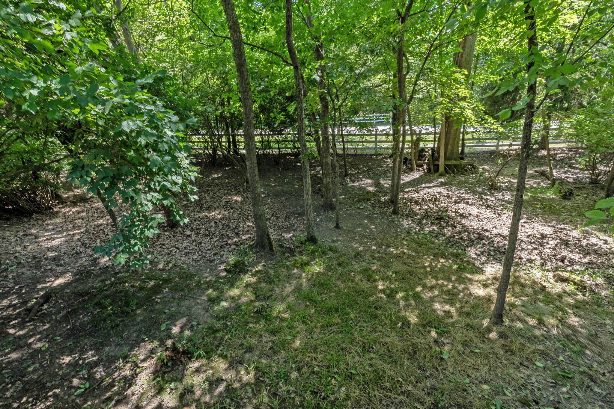 253 Whitaker Avenue S