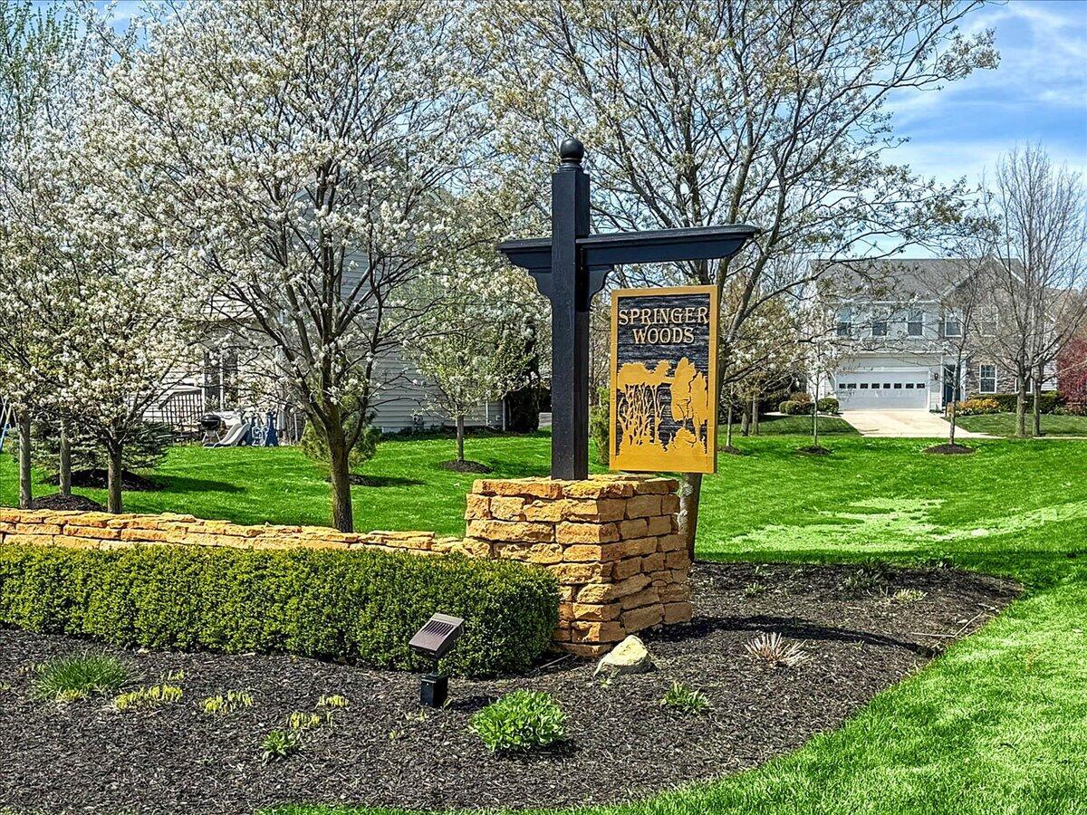 107 Curly Smart Circle