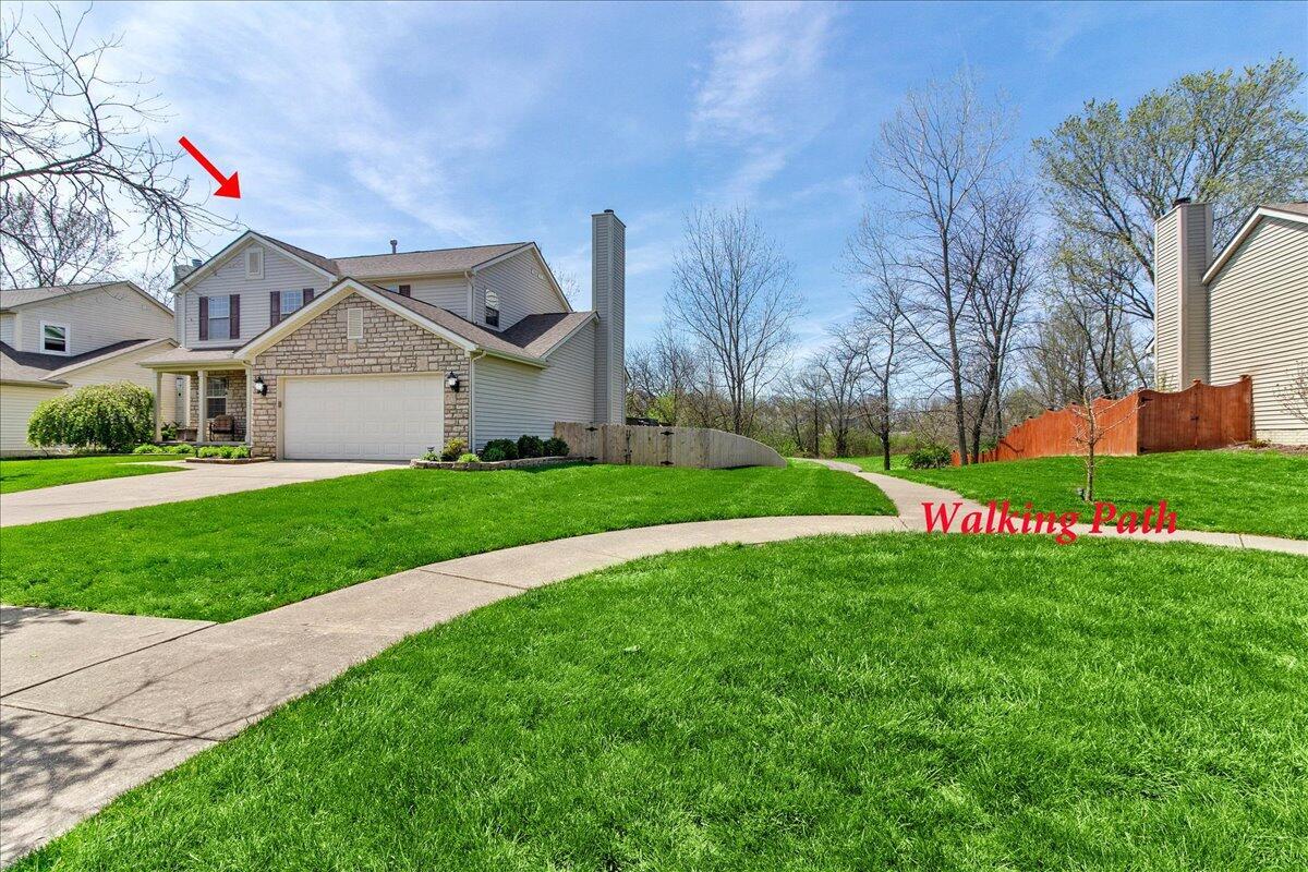 107 Curly Smart Circle