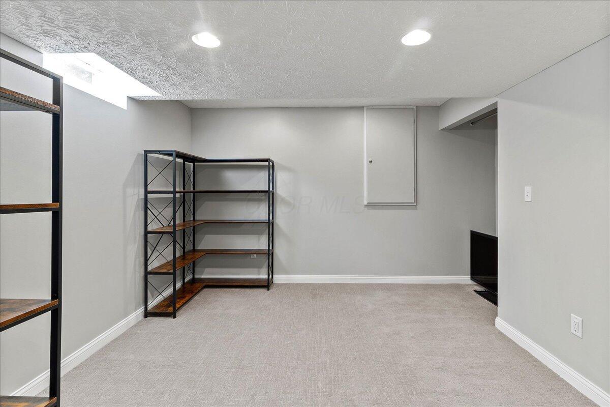 107 Curly Smart Circle