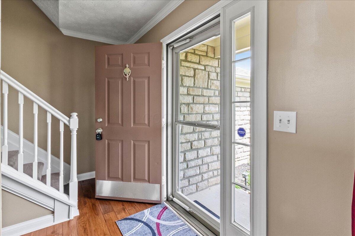 107 Curly Smart Circle