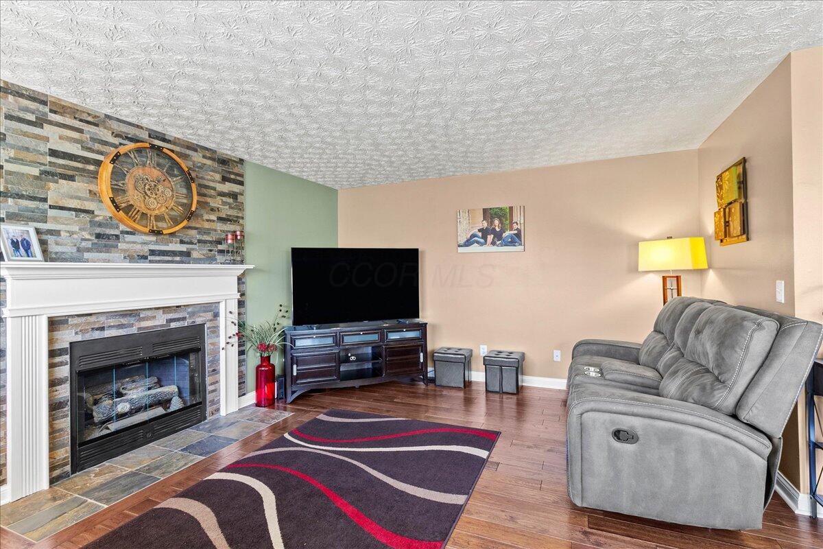 107 Curly Smart Circle