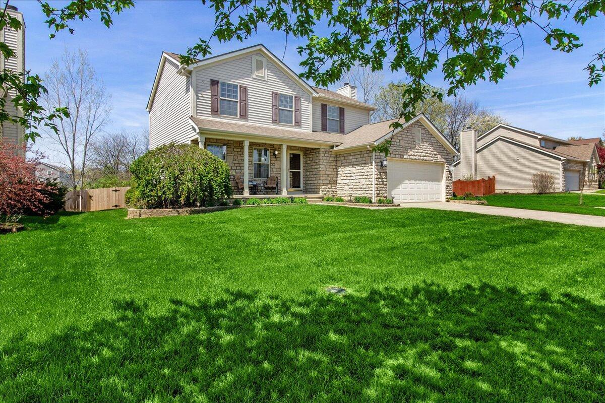 107 Curly Smart Circle