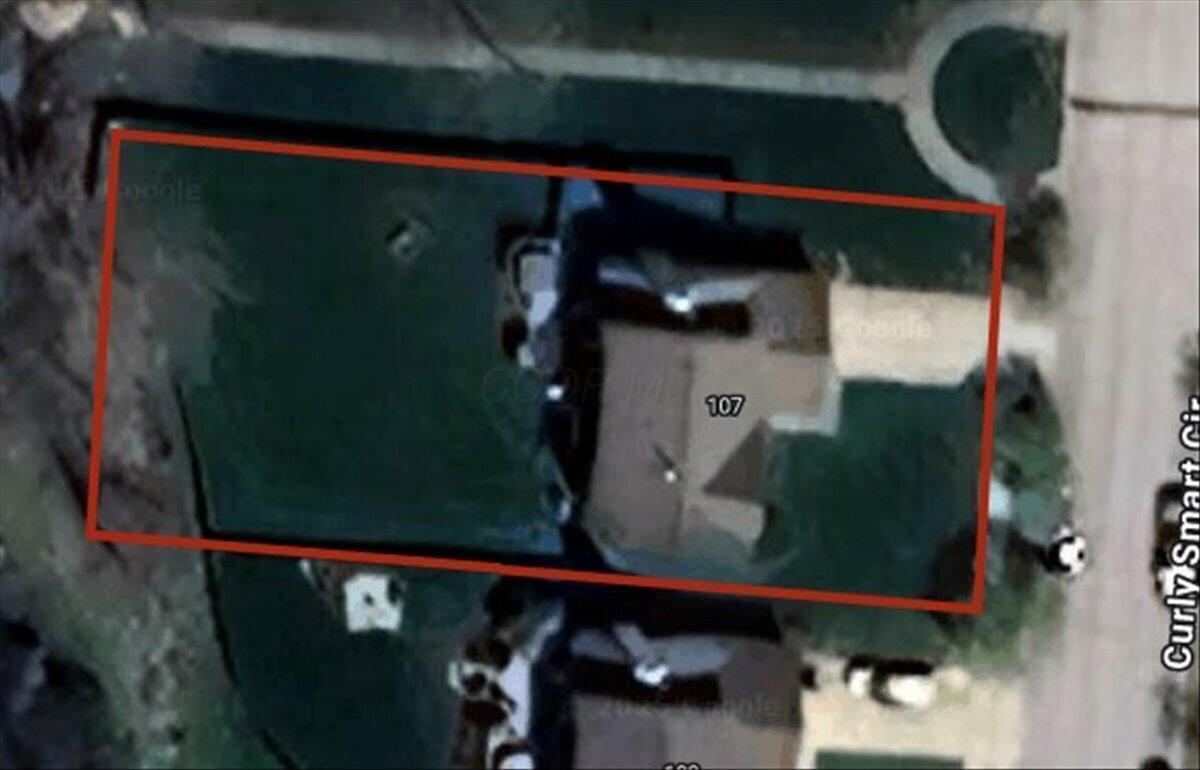 107 Curly Smart Circle