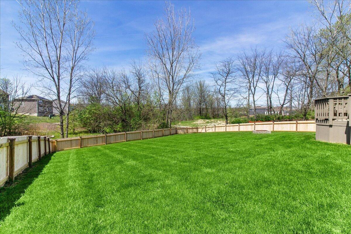 107 Curly Smart Circle