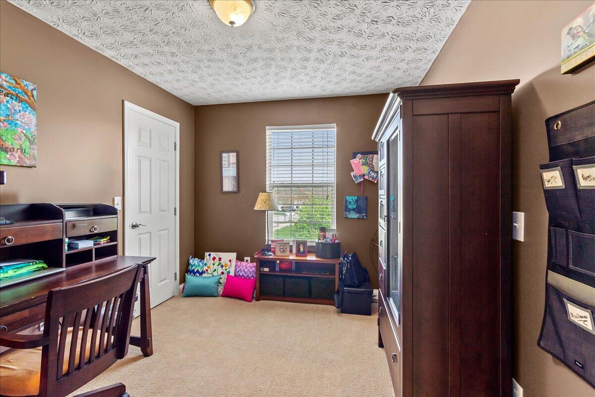 107 Curly Smart Circle