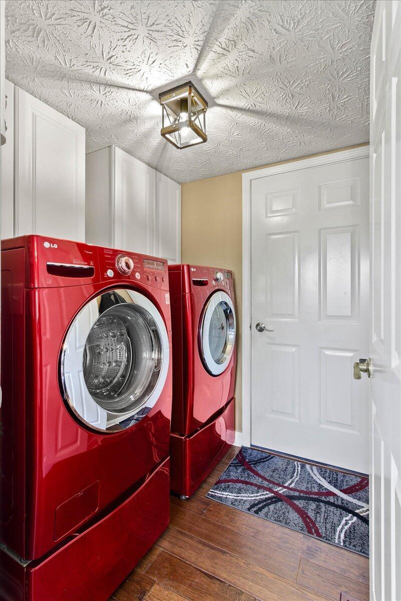 107 Curly Smart Circle