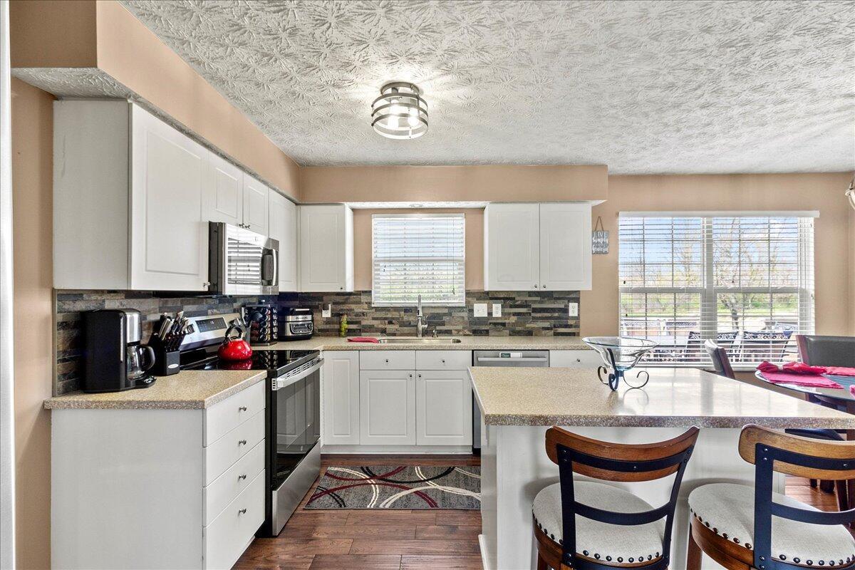 107 Curly Smart Circle